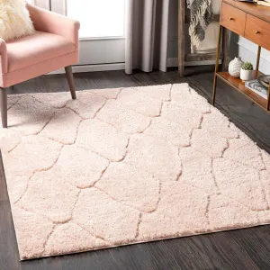 Ephrem Trellis Diamond Plush Area Rug