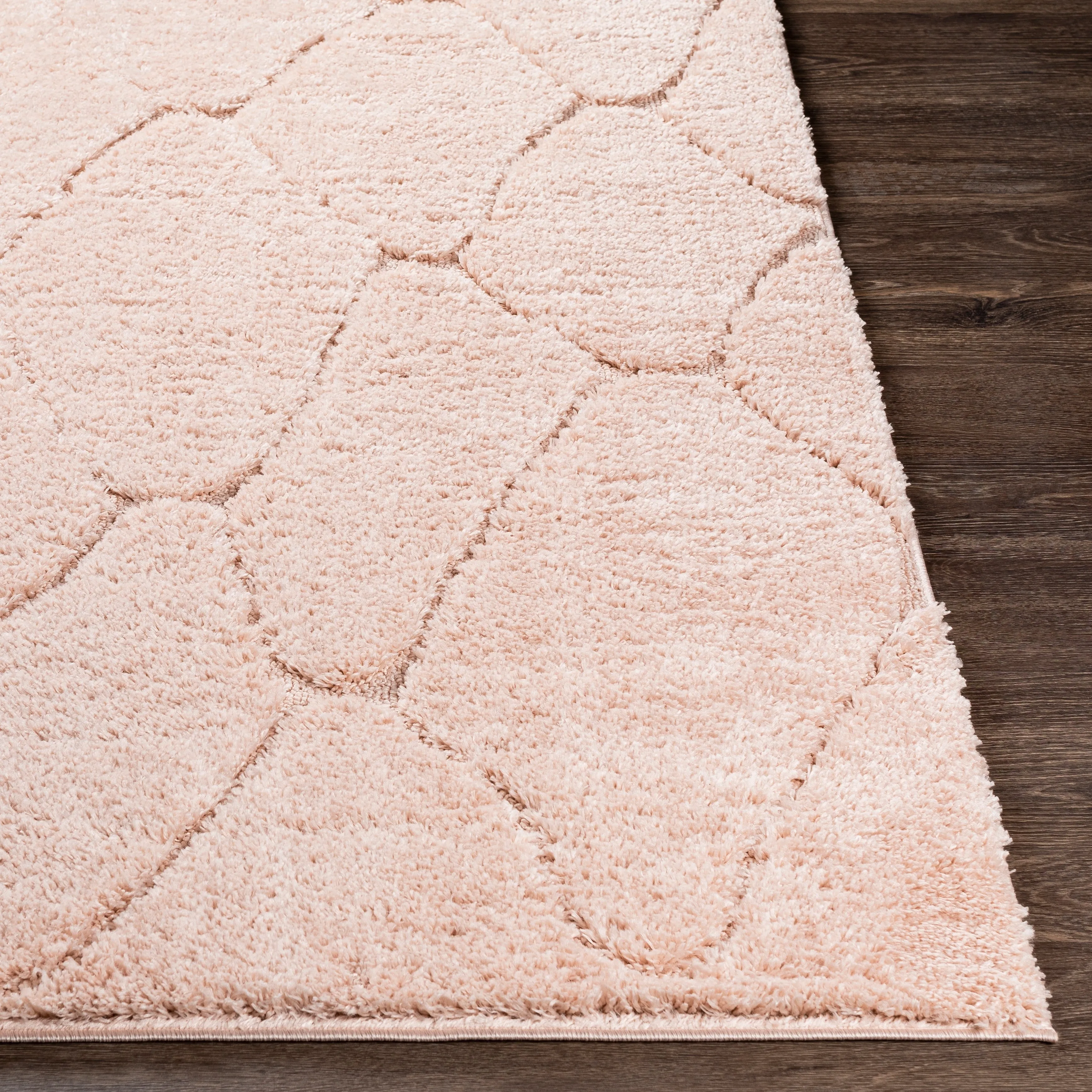 Ephrem Trellis Diamond Plush Area Rug