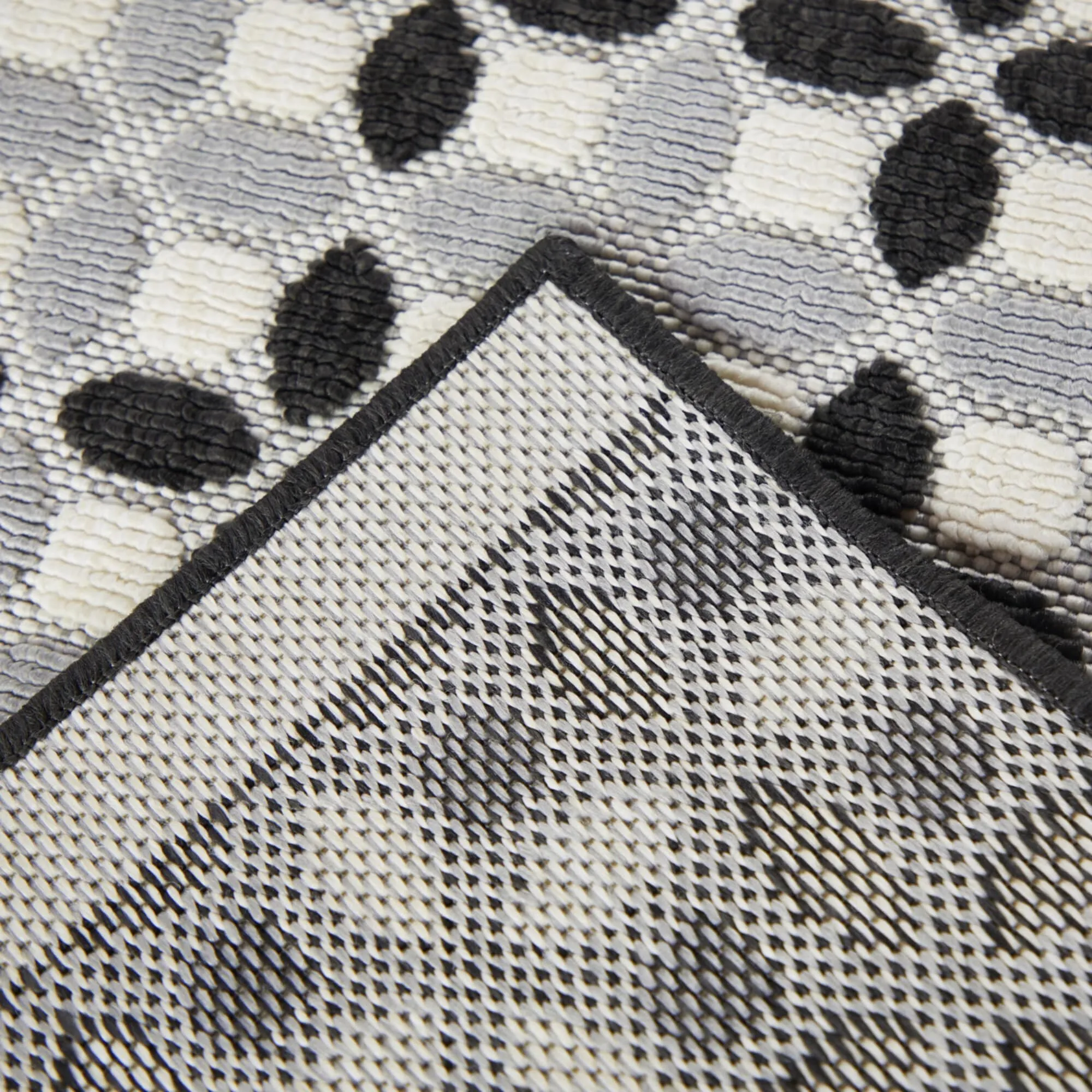 Francois Transitional Checkered Indoor/Outdoor Area Rug