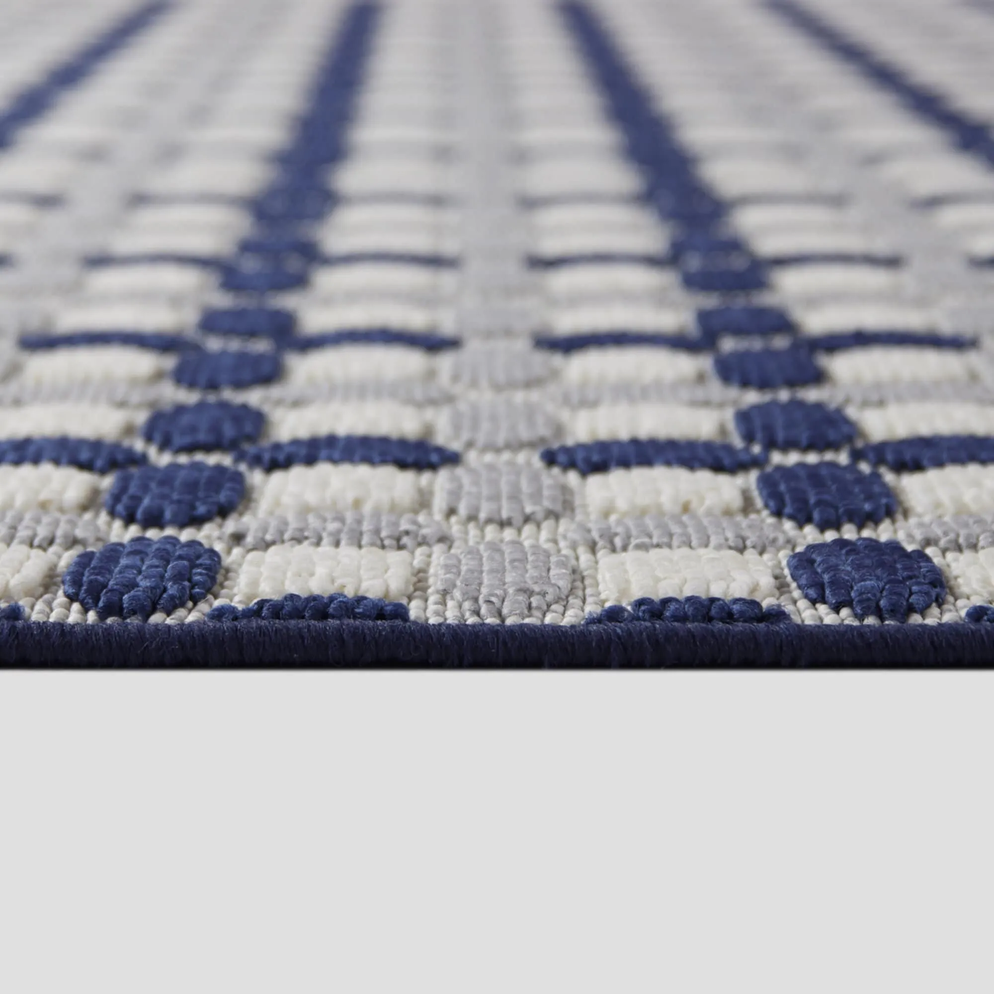 Francois Transitional Checkered Indoor/Outdoor Area Rug