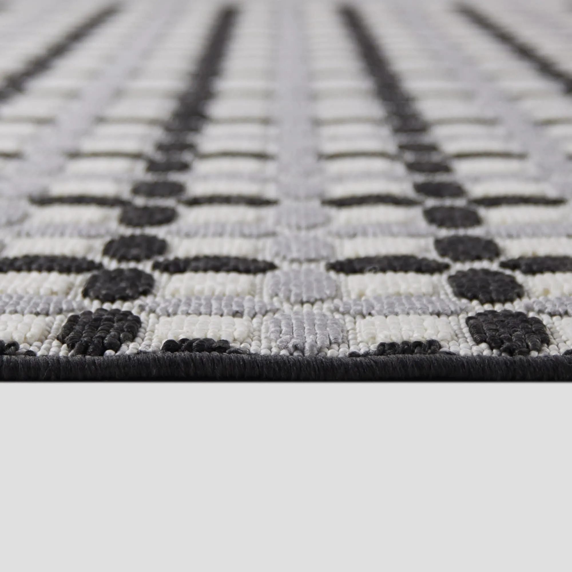 Francois Transitional Checkered Indoor/Outdoor Area Rug