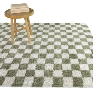 Havill Classic Checkered Area Rug