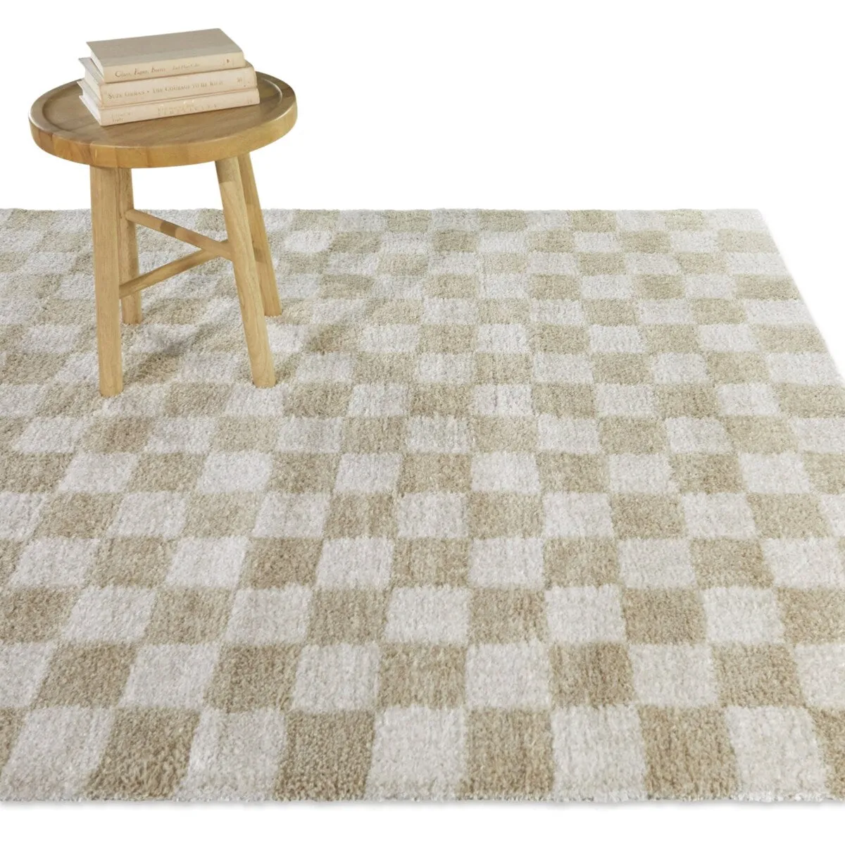 Havill Classic Checkered Area Rug