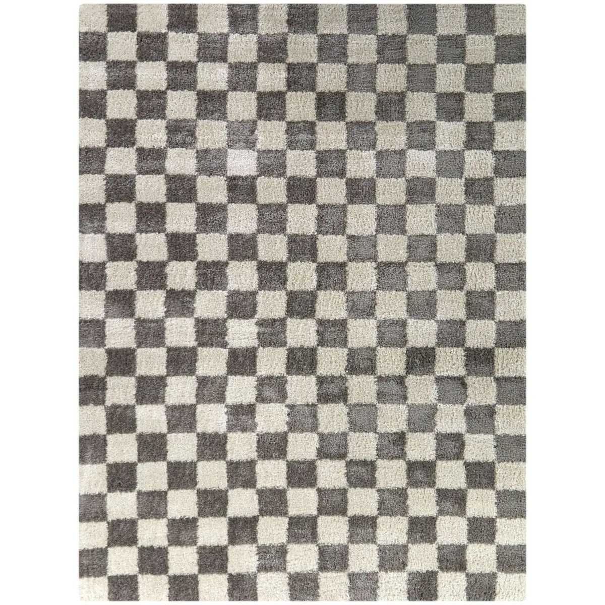 Havill Classic Checkered Area Rug