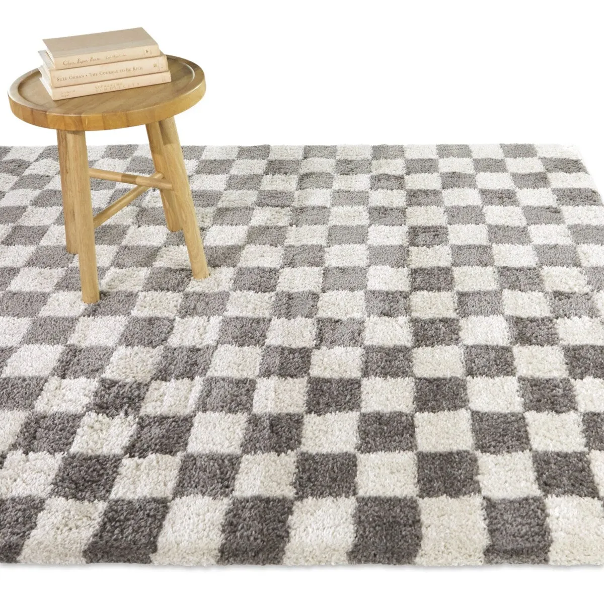 Havill Classic Checkered Area Rug