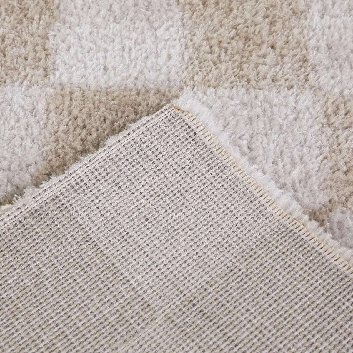 Havill Classic Checkered Area Rug