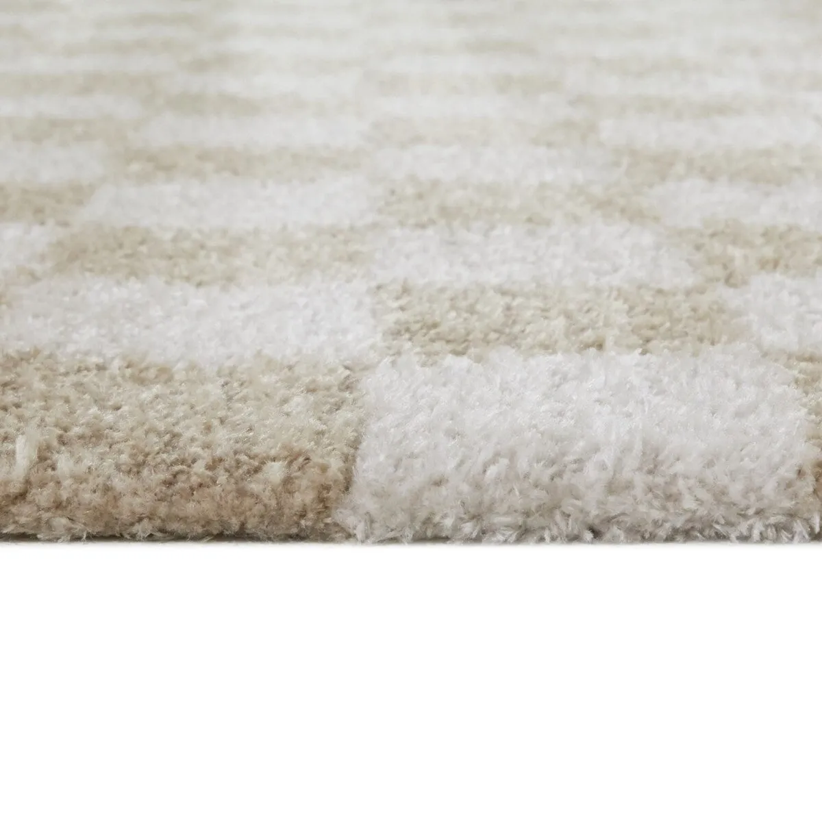 Havill Classic Checkered Area Rug