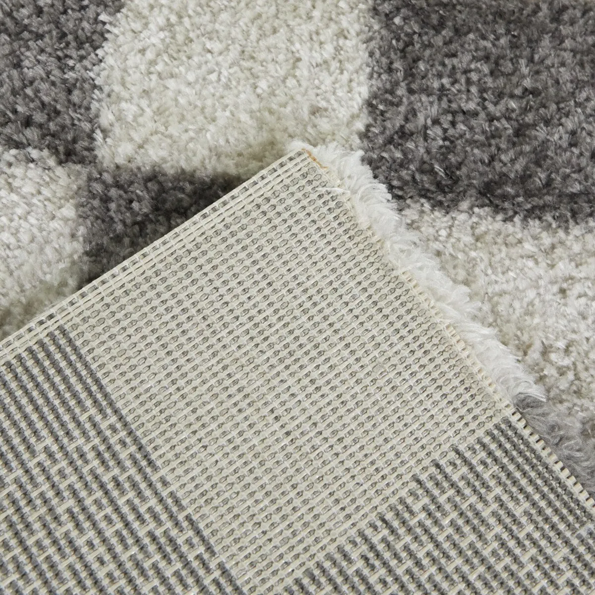 Havill Classic Checkered Area Rug