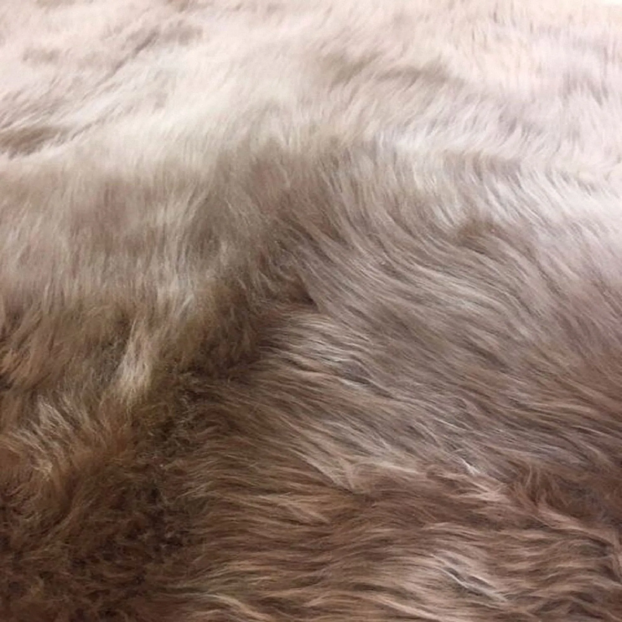 Highland Select Natural Long Wool Sheepskin 4 Pelt Shag Rug - 3'6 x 5'6