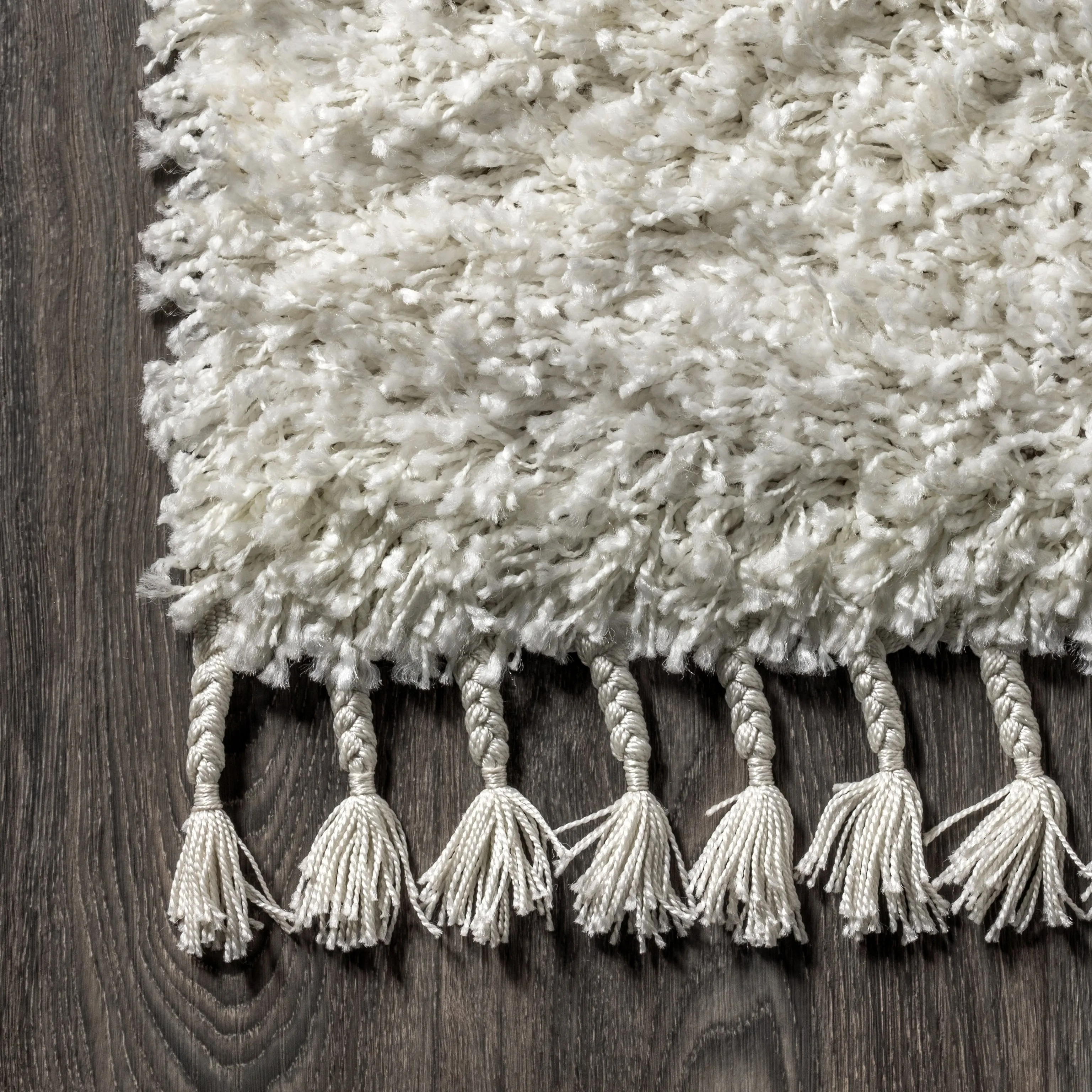 JONATHAN Y Modern Shag Plush Tassel Area Rug
