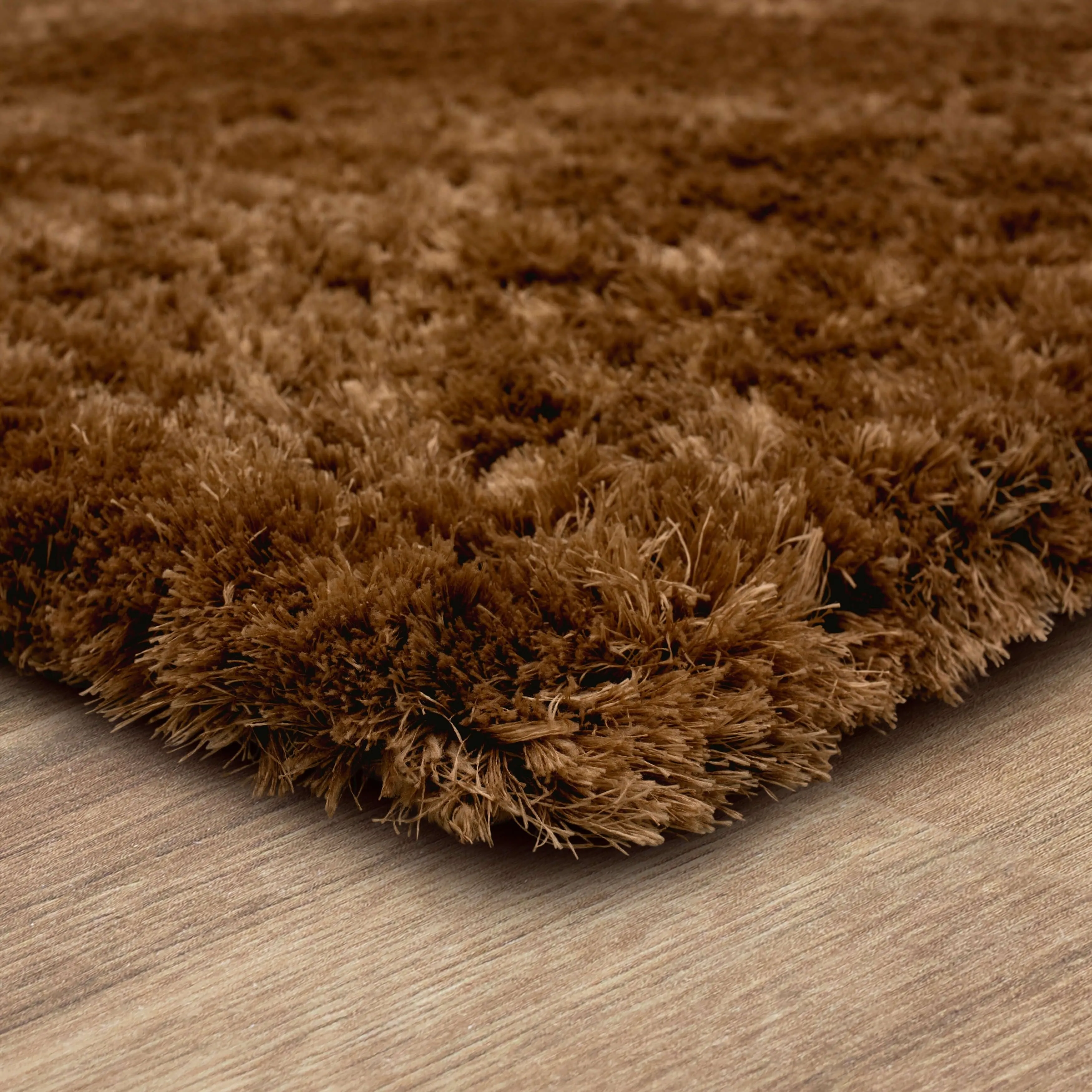 Karastan Billow Shag Area Rug