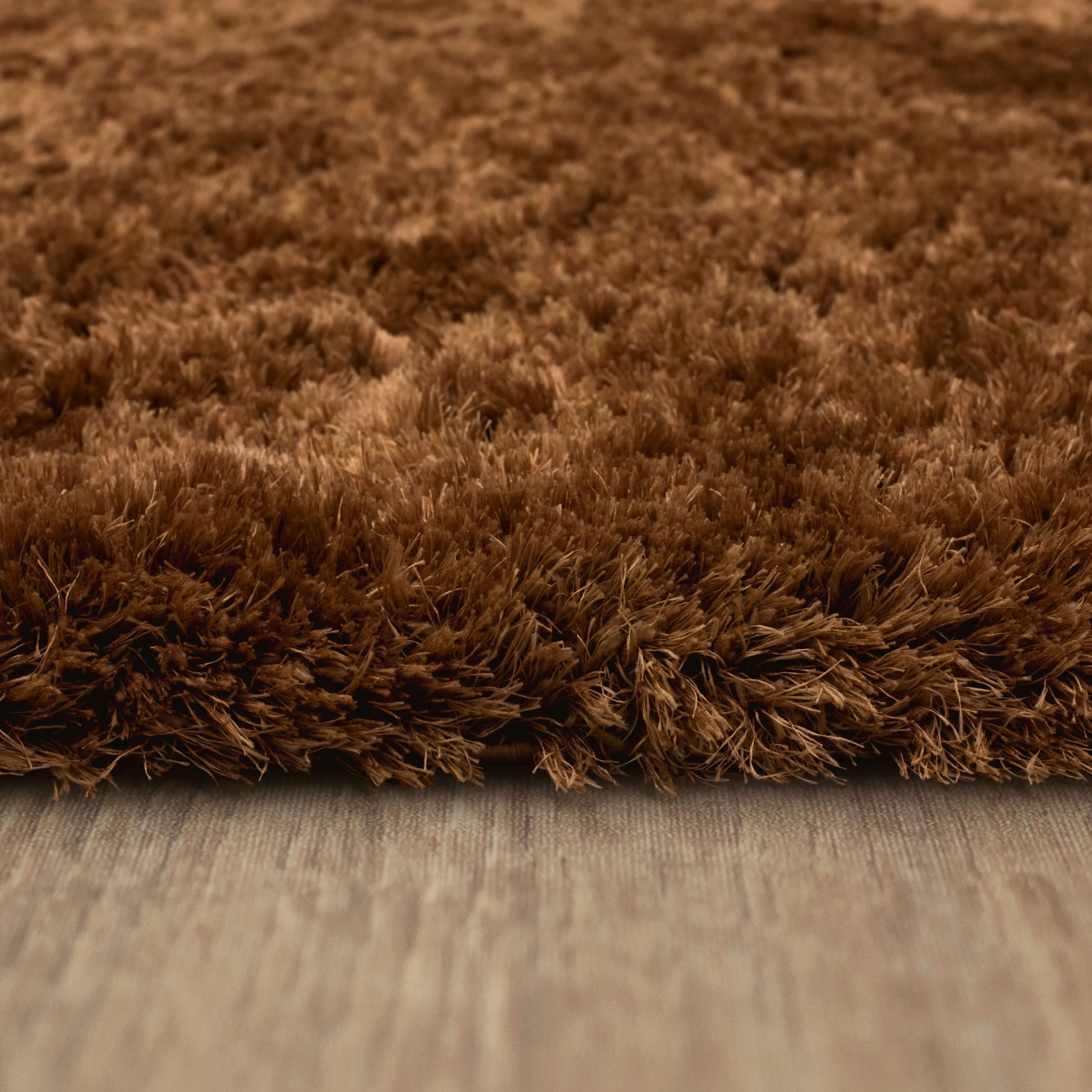 Karastan Billow Shag Area Rug