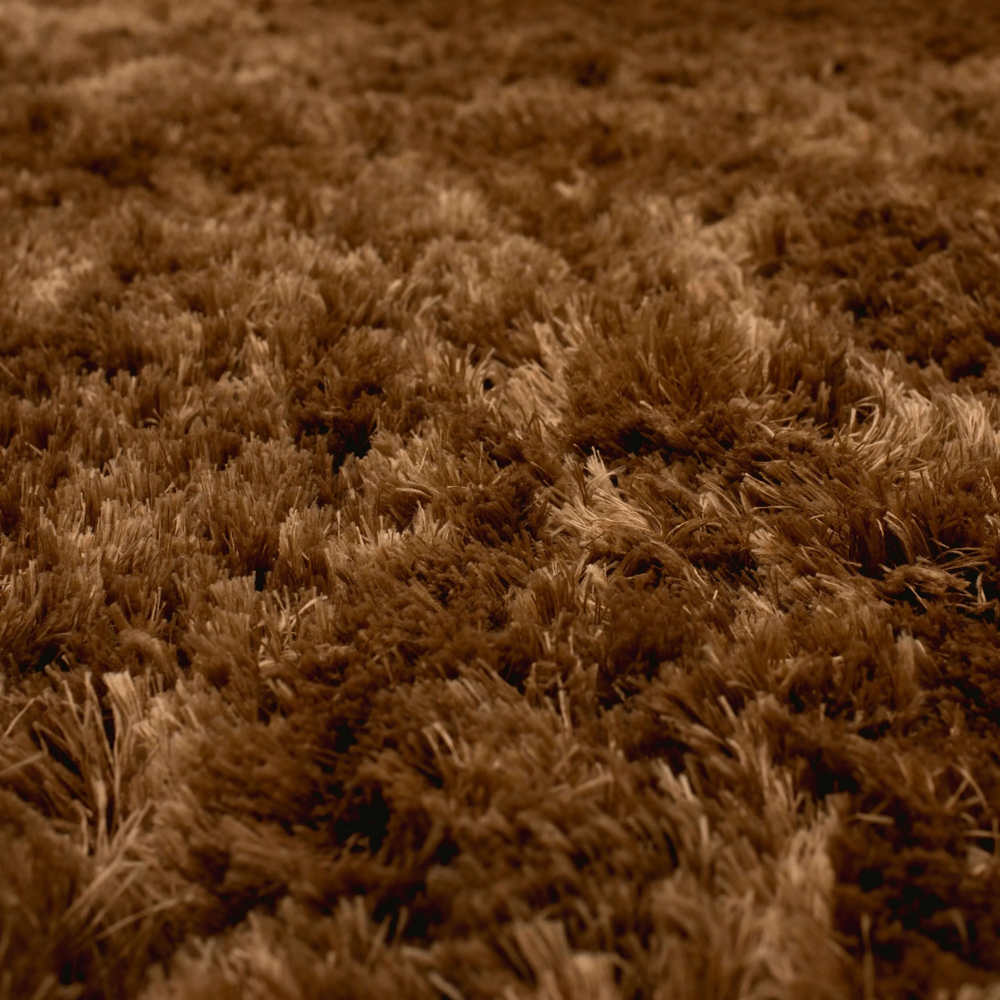 Karastan Billow Shag Area Rug