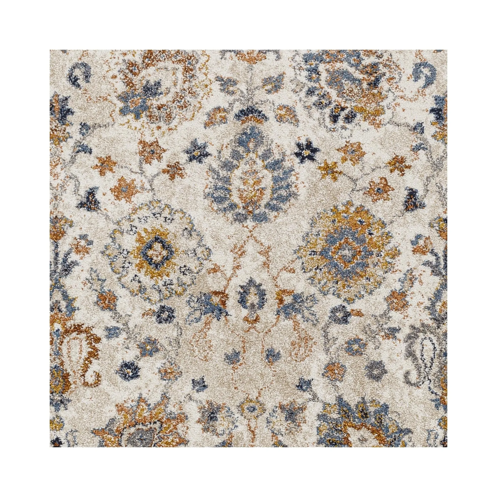Keira Updated Traditional Medallion Area Rug