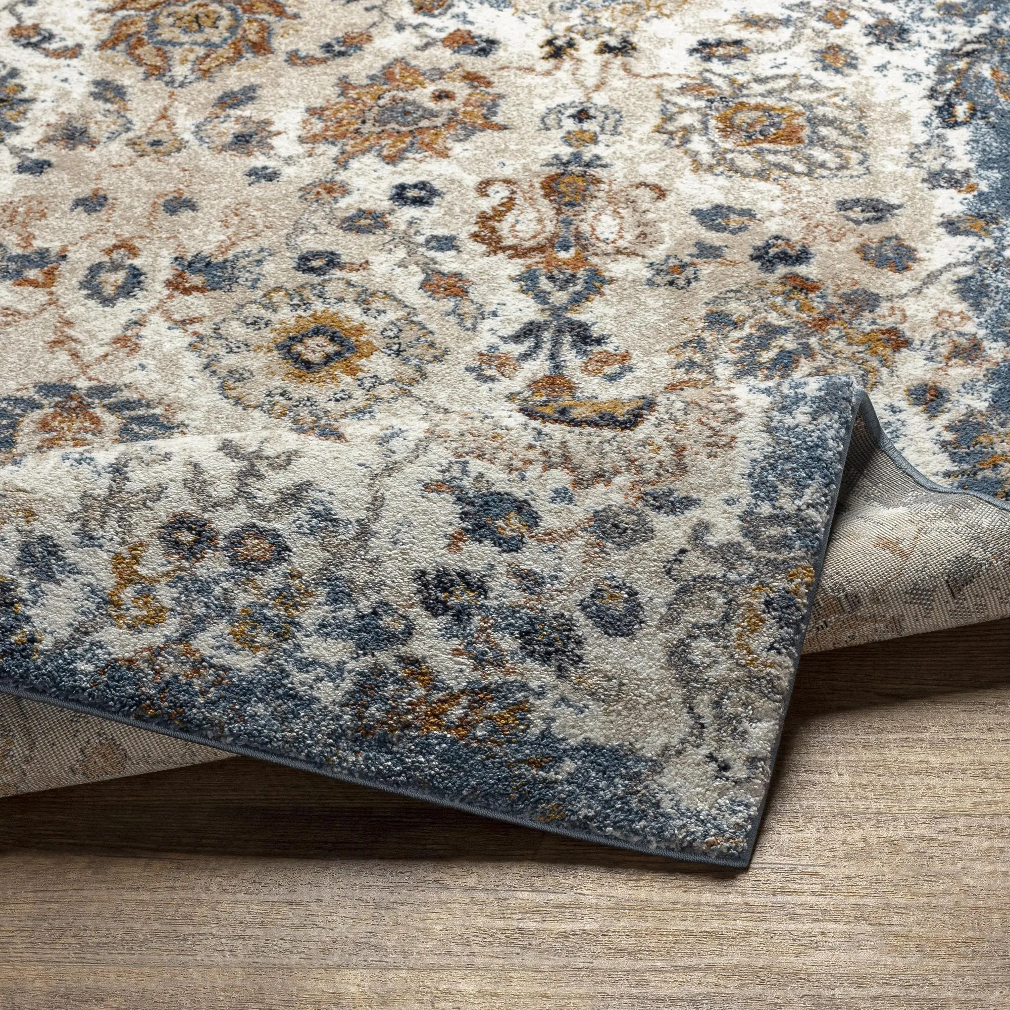 Keira Updated Traditional Medallion Area Rug