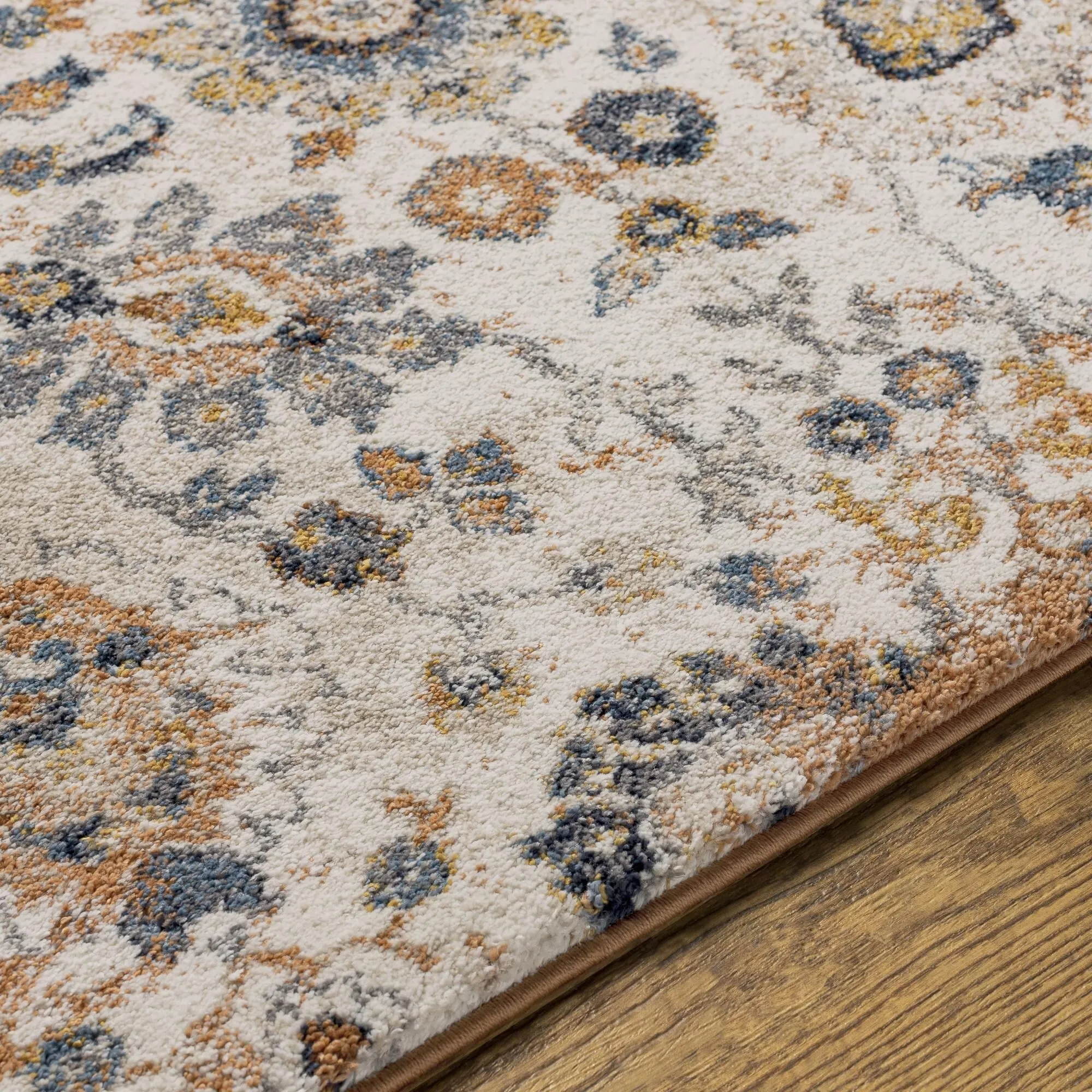 Keira Updated Traditional Medallion Area Rug