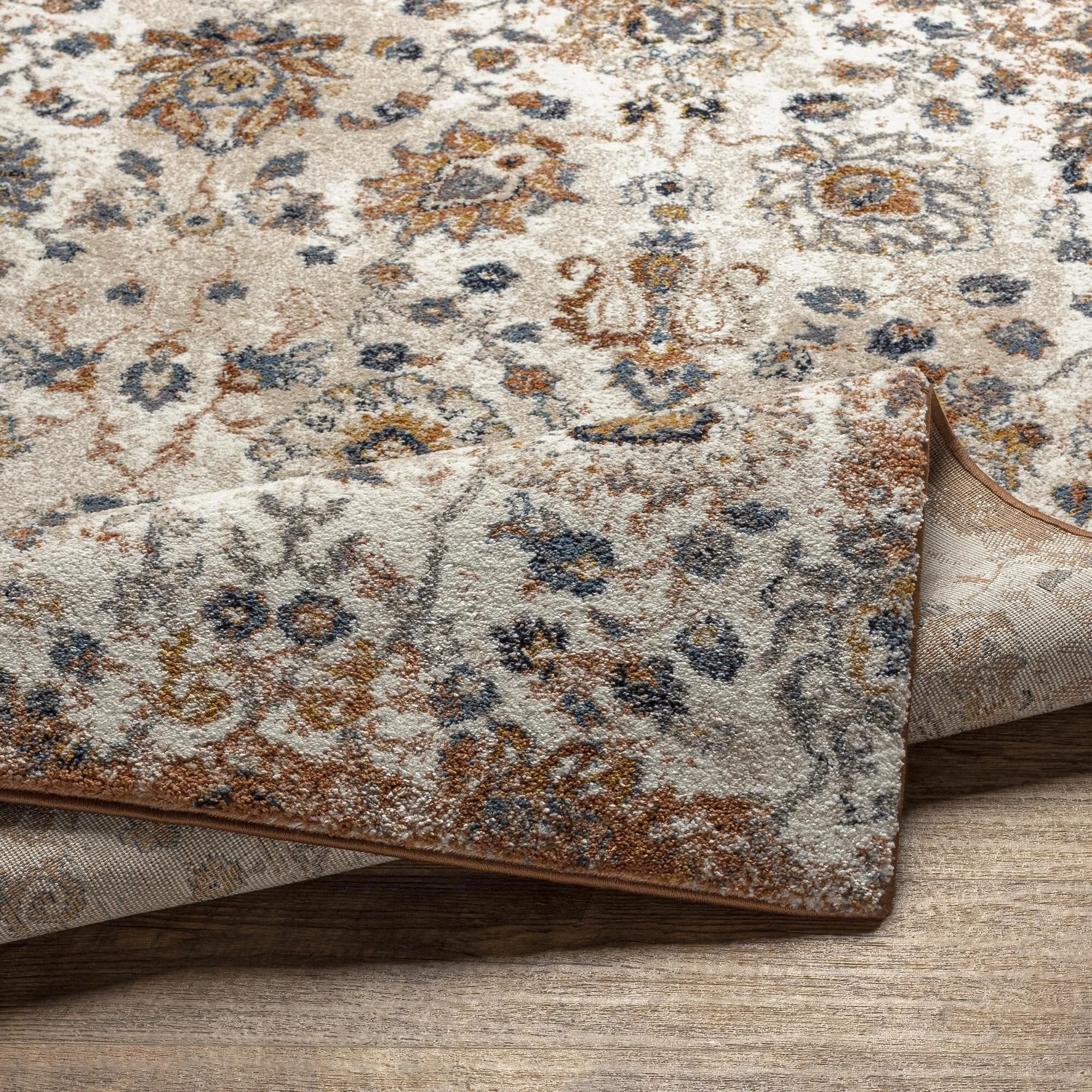 Keira Updated Traditional Medallion Area Rug