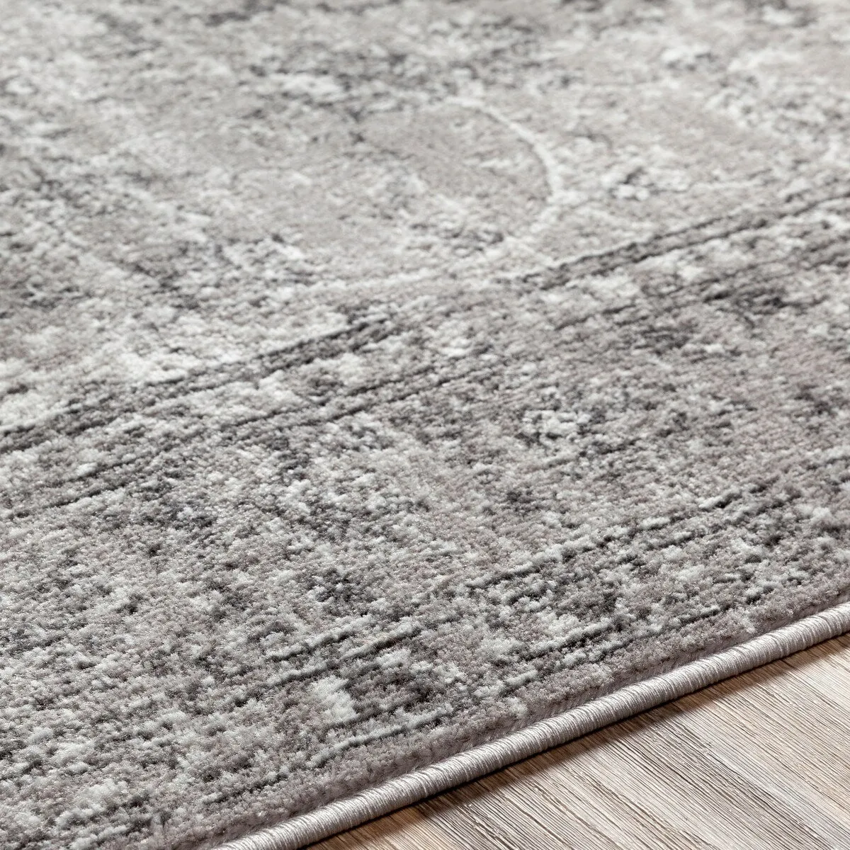 Livabliss Antonie Distressed Updated Traditional Area Rug