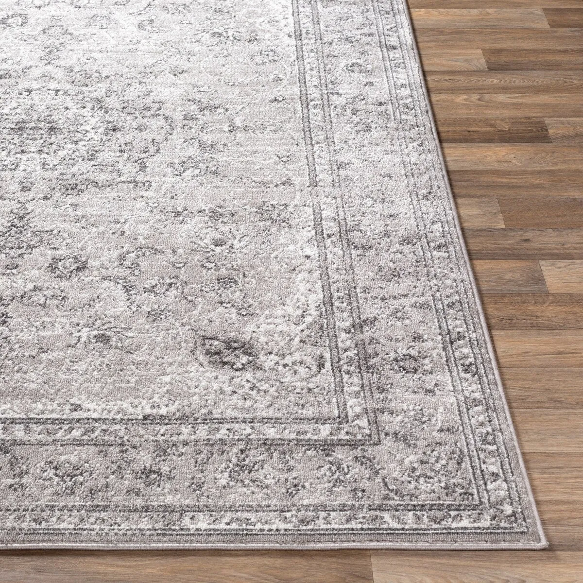 Livabliss Antonie Distressed Updated Traditional Area Rug