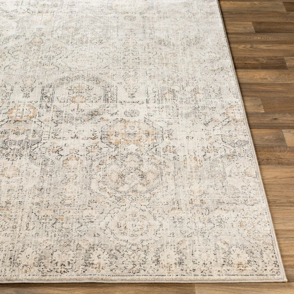 Livabliss Appingedam Vintage Medallion Area Rug