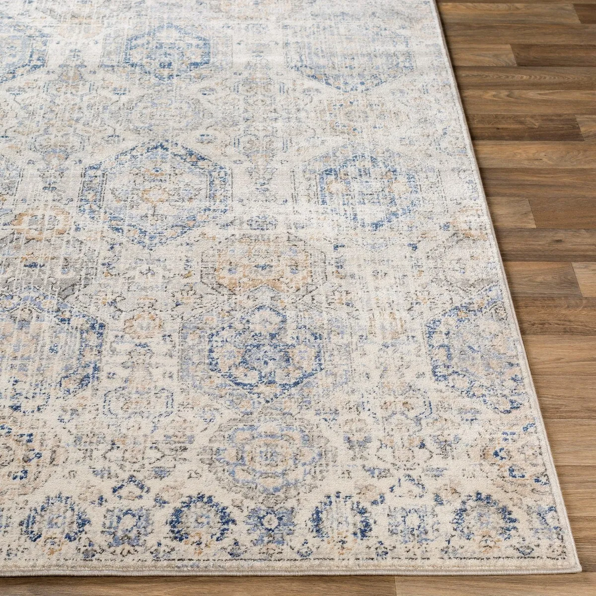 Livabliss Appingedam Vintage Medallion Area Rug