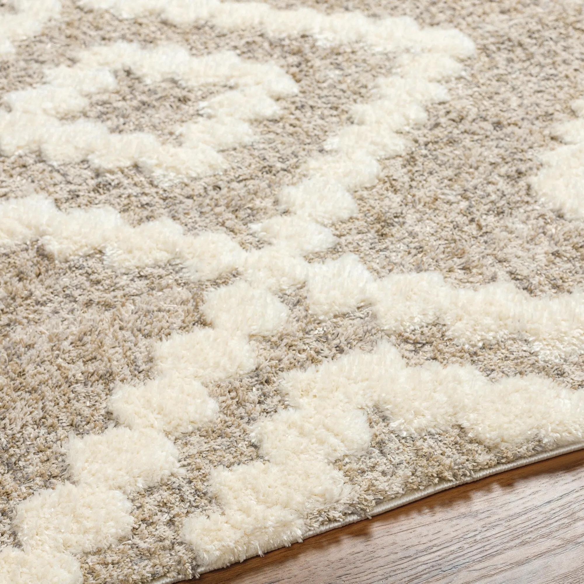Livabliss Florida Boho Diamond Plush Area Rug