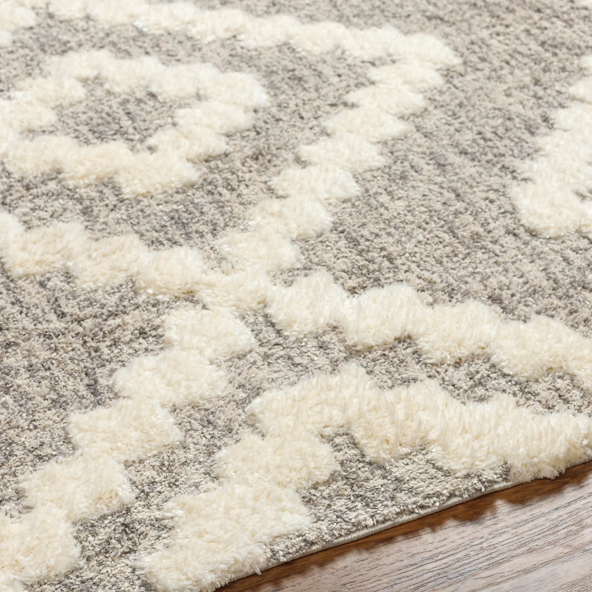 Livabliss Florida Boho Diamond Plush Area Rug