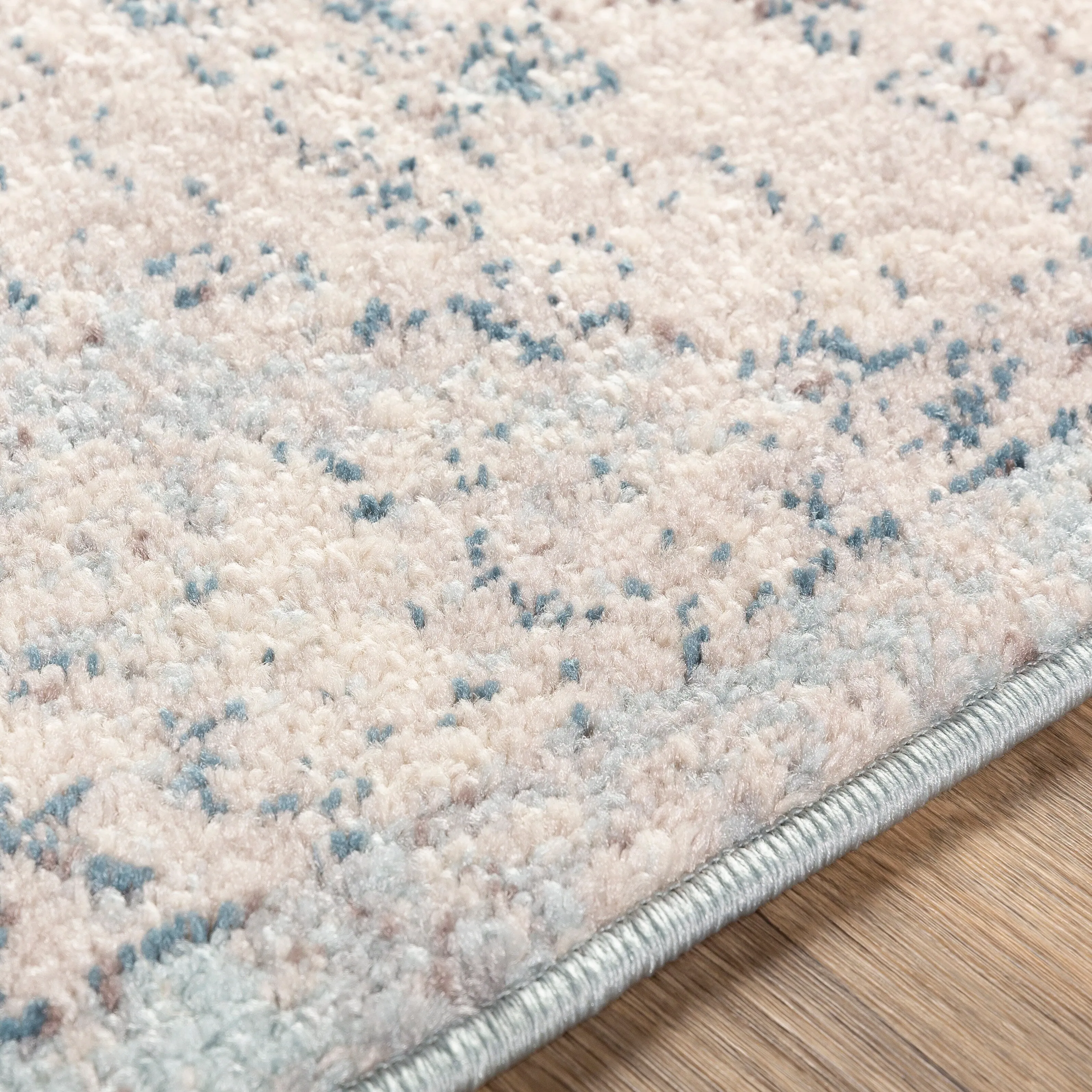 Livabliss Gabi Faded Traditional Medallion Area Rug
