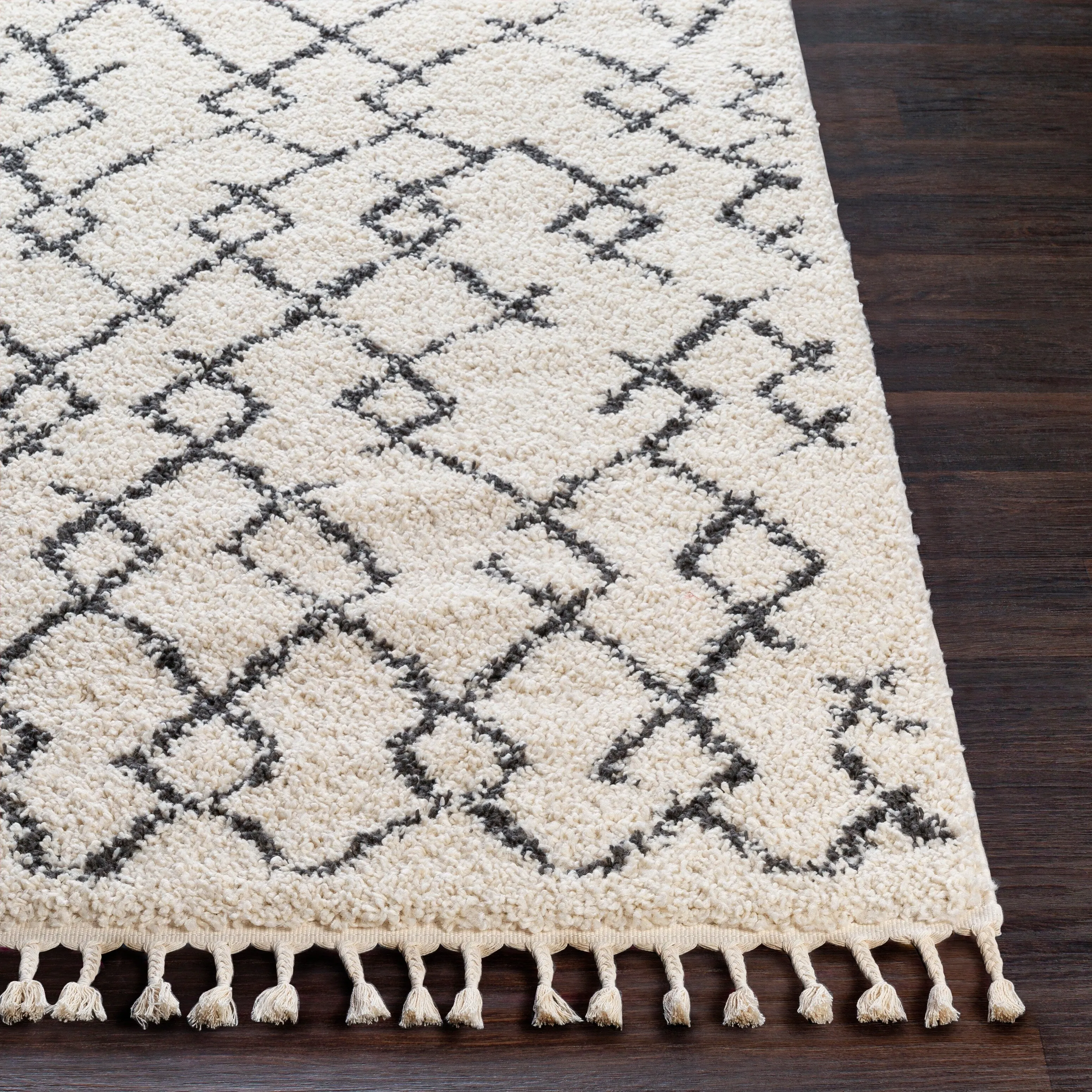 Livabliss Hammond Bohemian Shag Area Rug