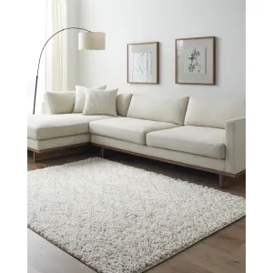 Livabliss Maryland Shag Modern & Contemporary Solid Area Rug