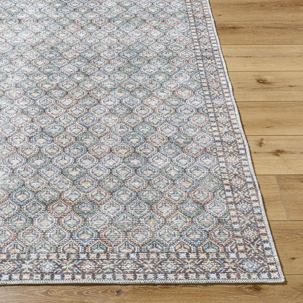 Livabliss Vinny Washable Traditional Area Rug