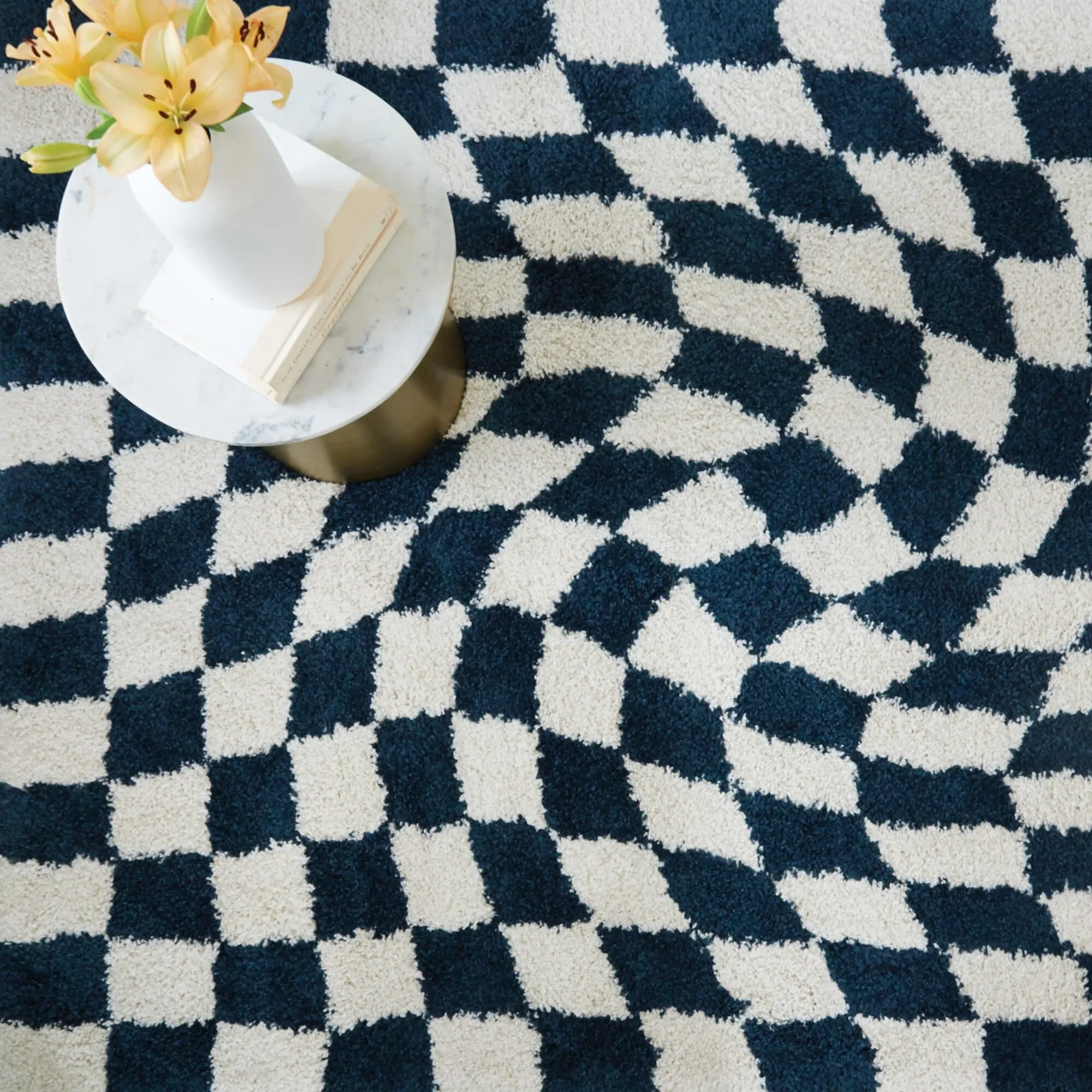Luther Abstract Checkered Modern Shag Area Rug
