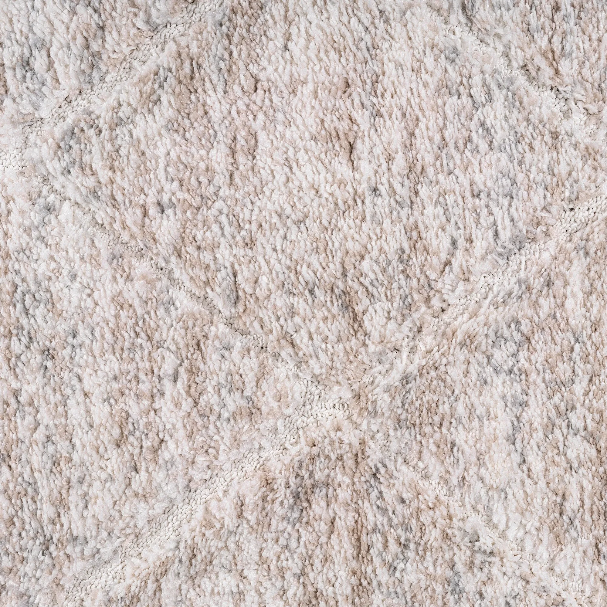 Madison Park Sophie Talas Trellis Area Rug