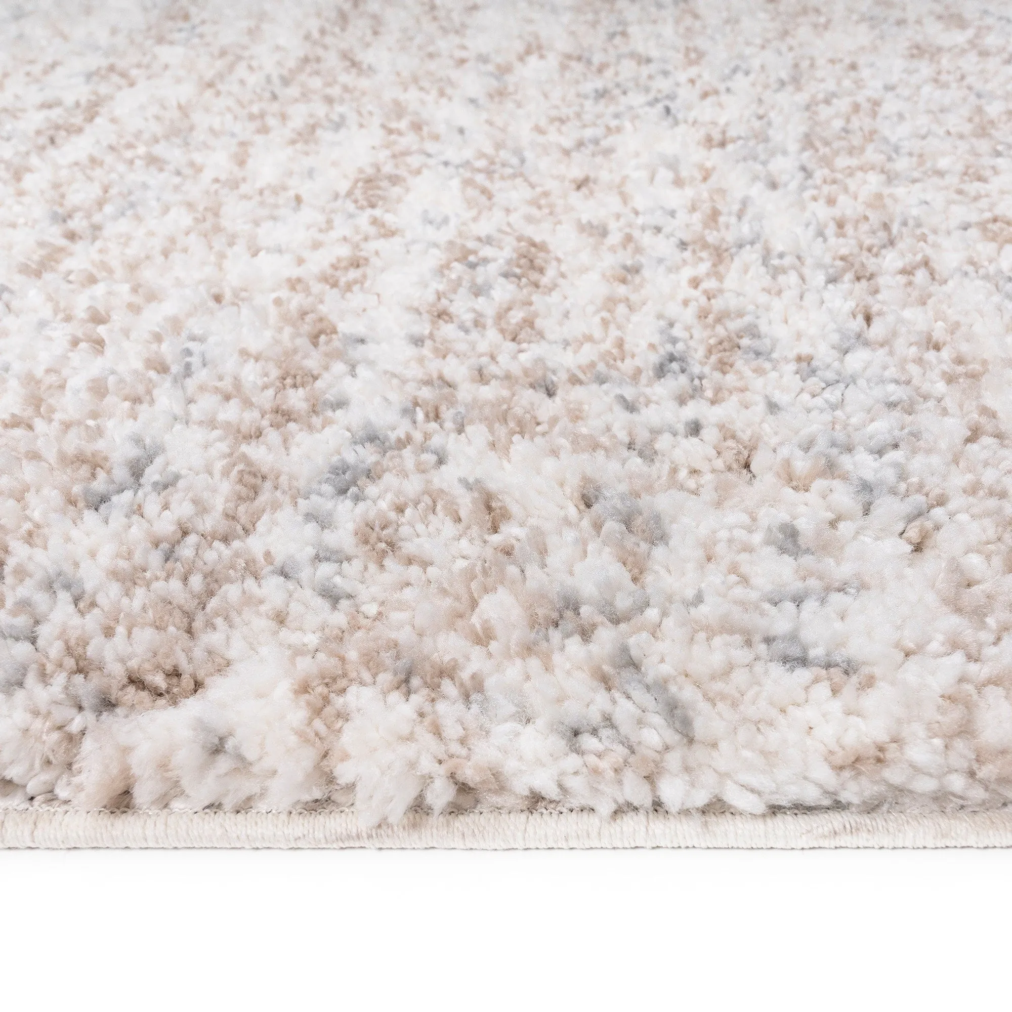 Madison Park Sophie Talas Trellis Area Rug