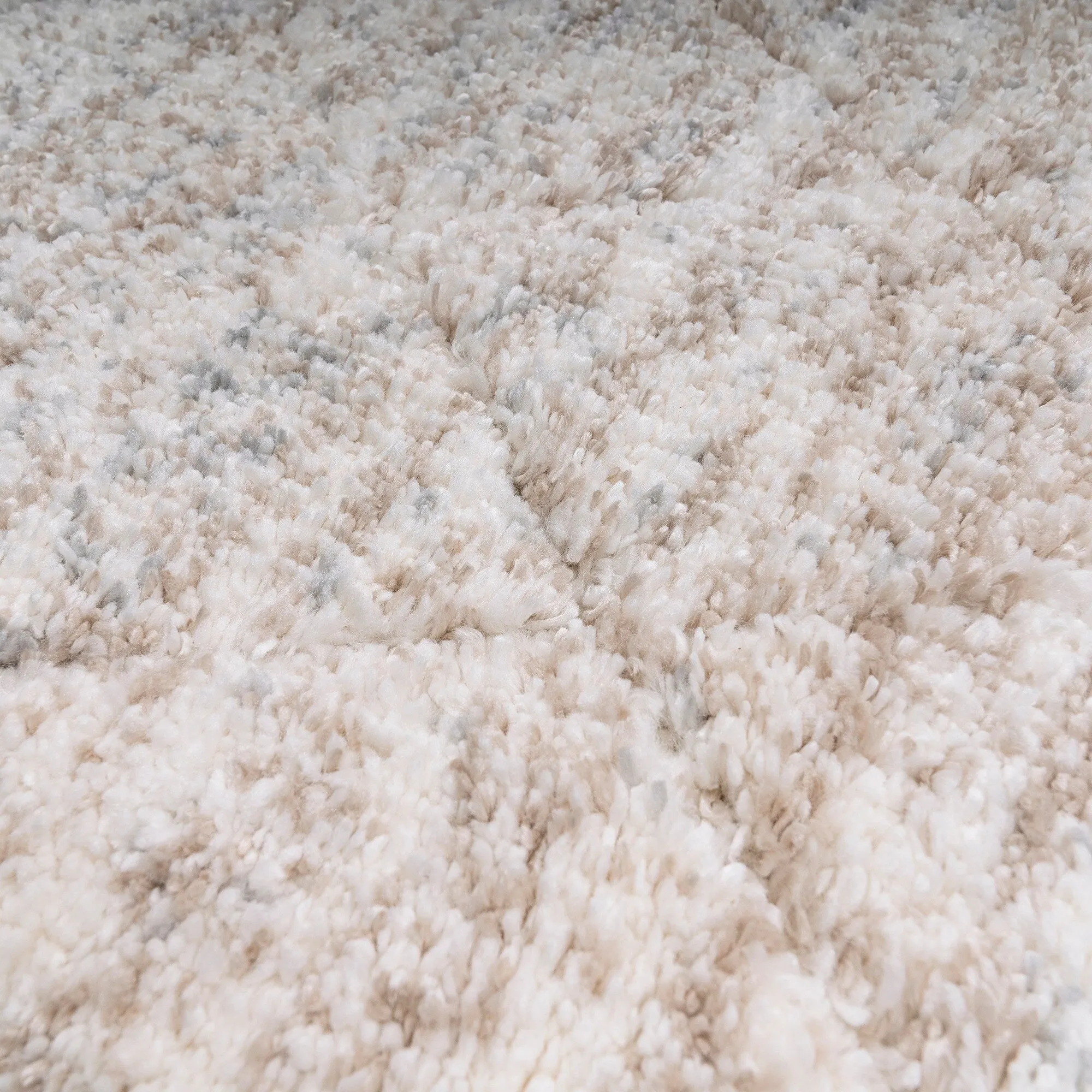 Madison Park Sophie Talas Trellis Area Rug