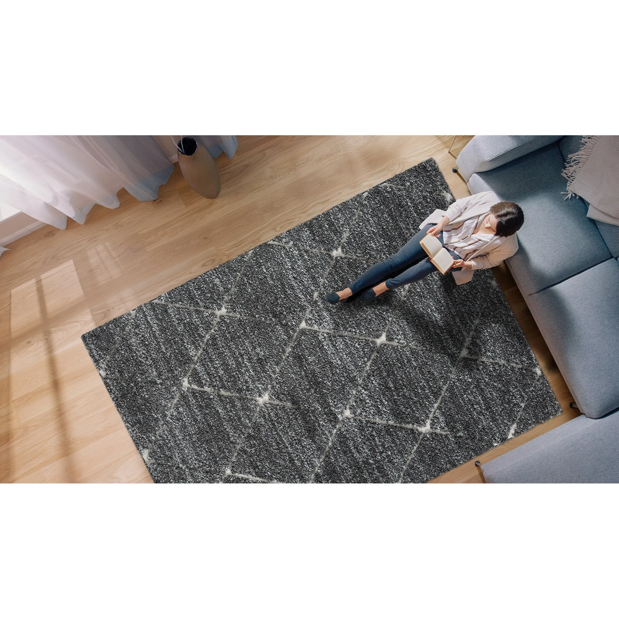 Madison Park Sophie Talas Trellis Area Rug