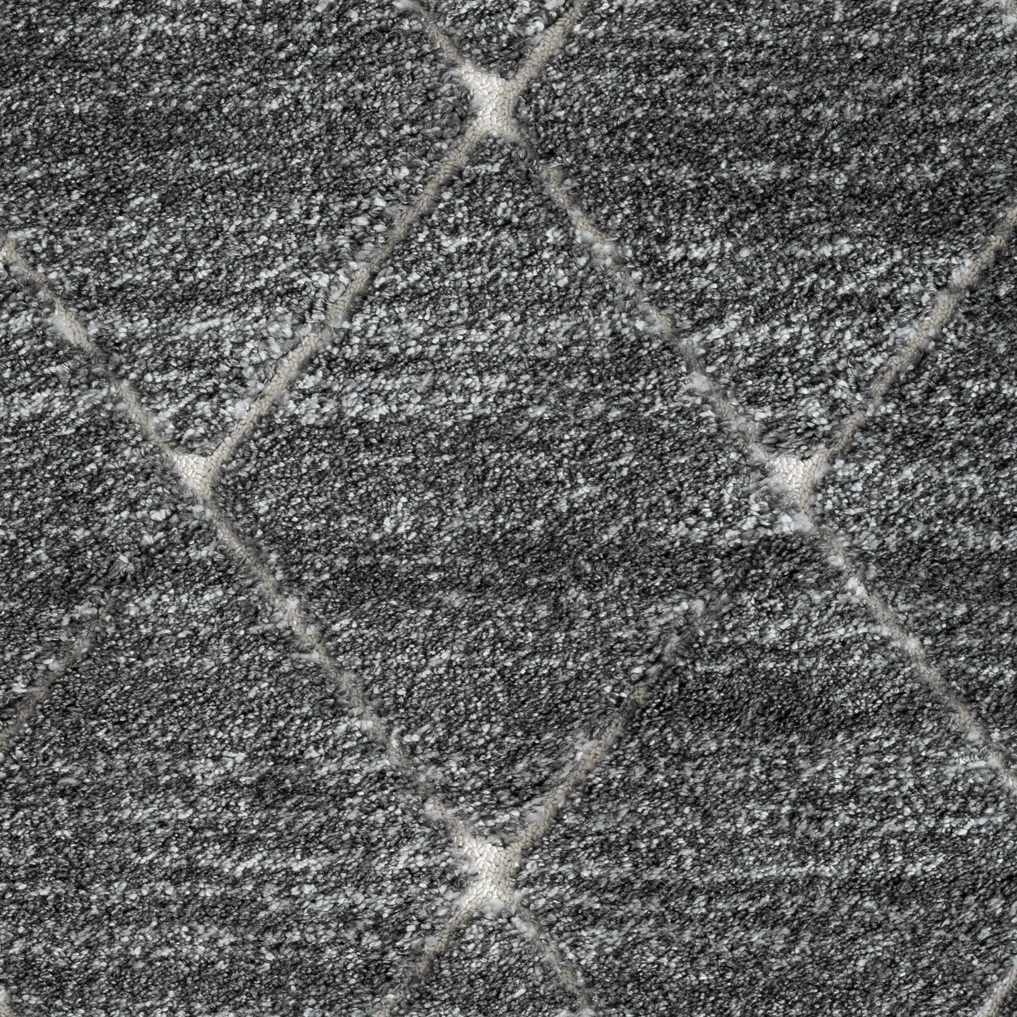 Madison Park Sophie Talas Trellis Area Rug