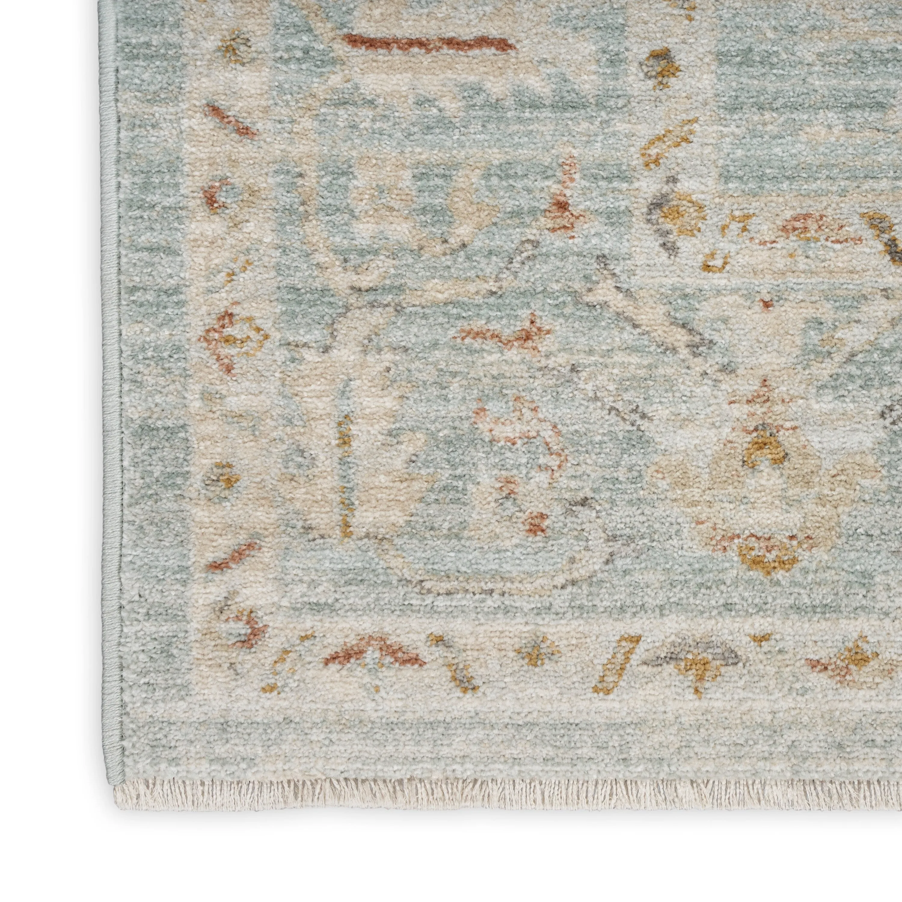 Nourison Traditional Home Indoor Persian Area Rug