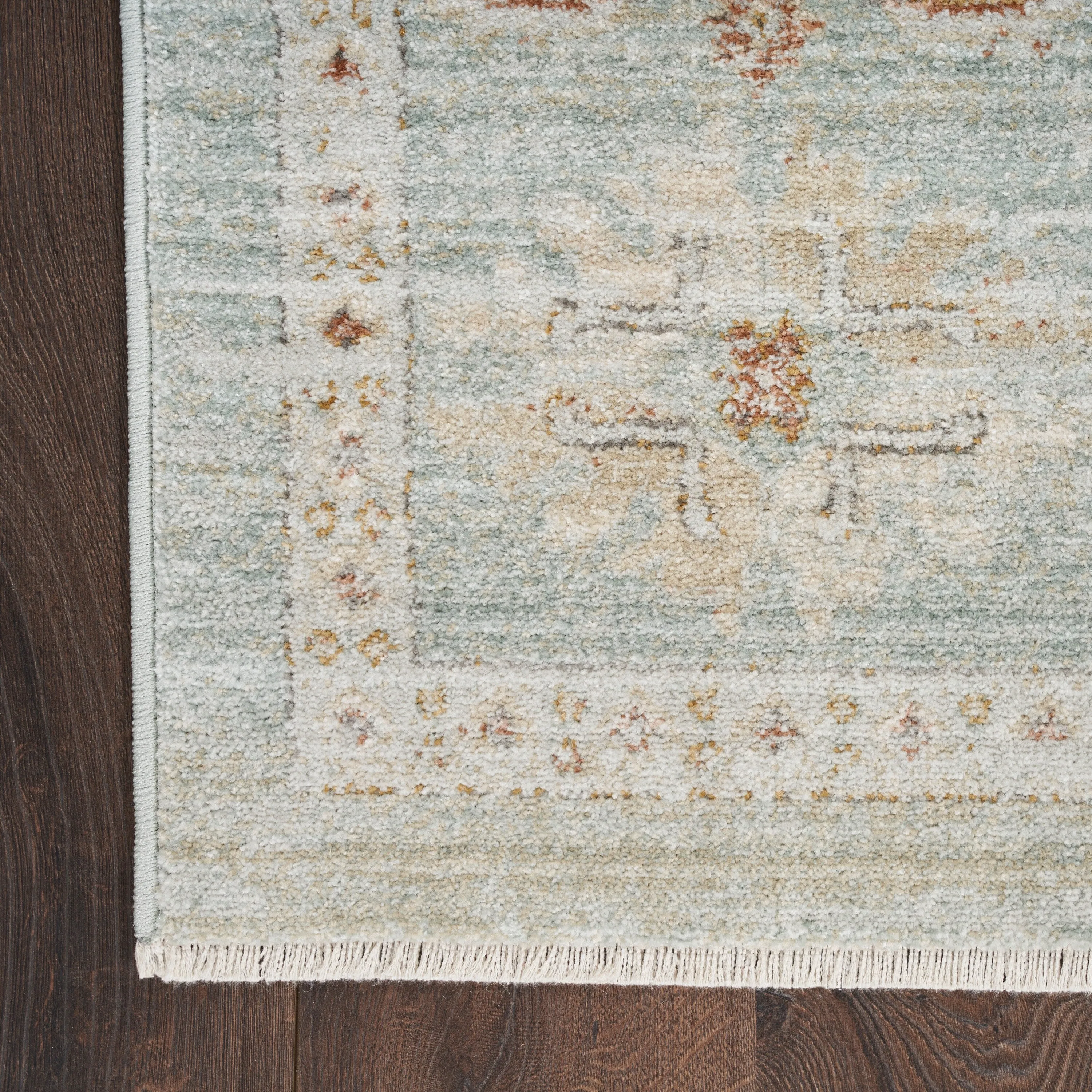 Nourison Traditional Home Indoor Persian Area Rug