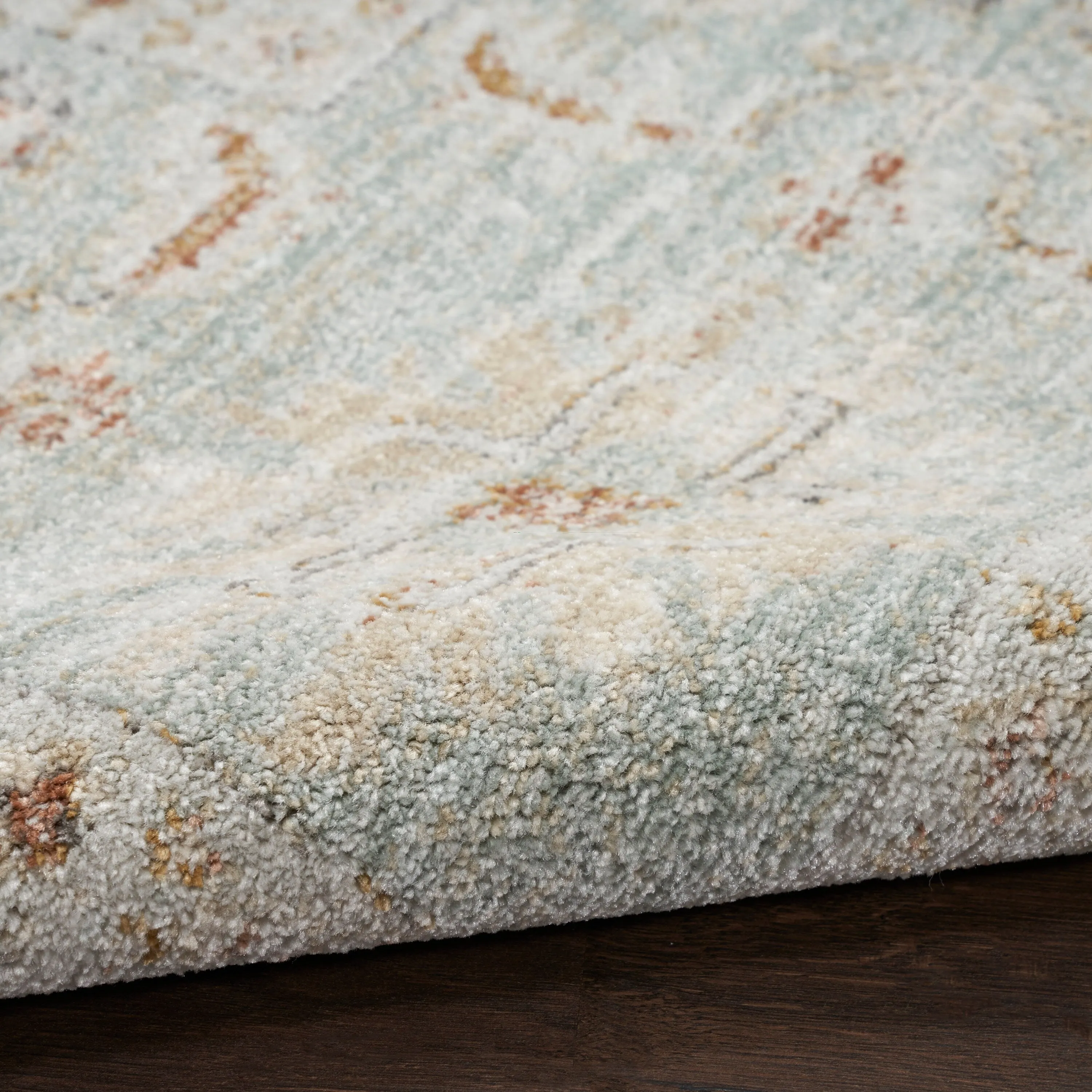 Nourison Traditional Home Indoor Persian Area Rug