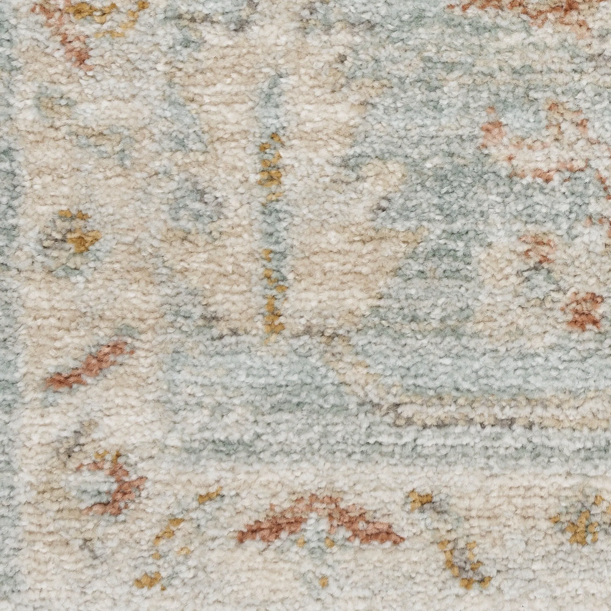 Nourison Traditional Home Indoor Persian Area Rug