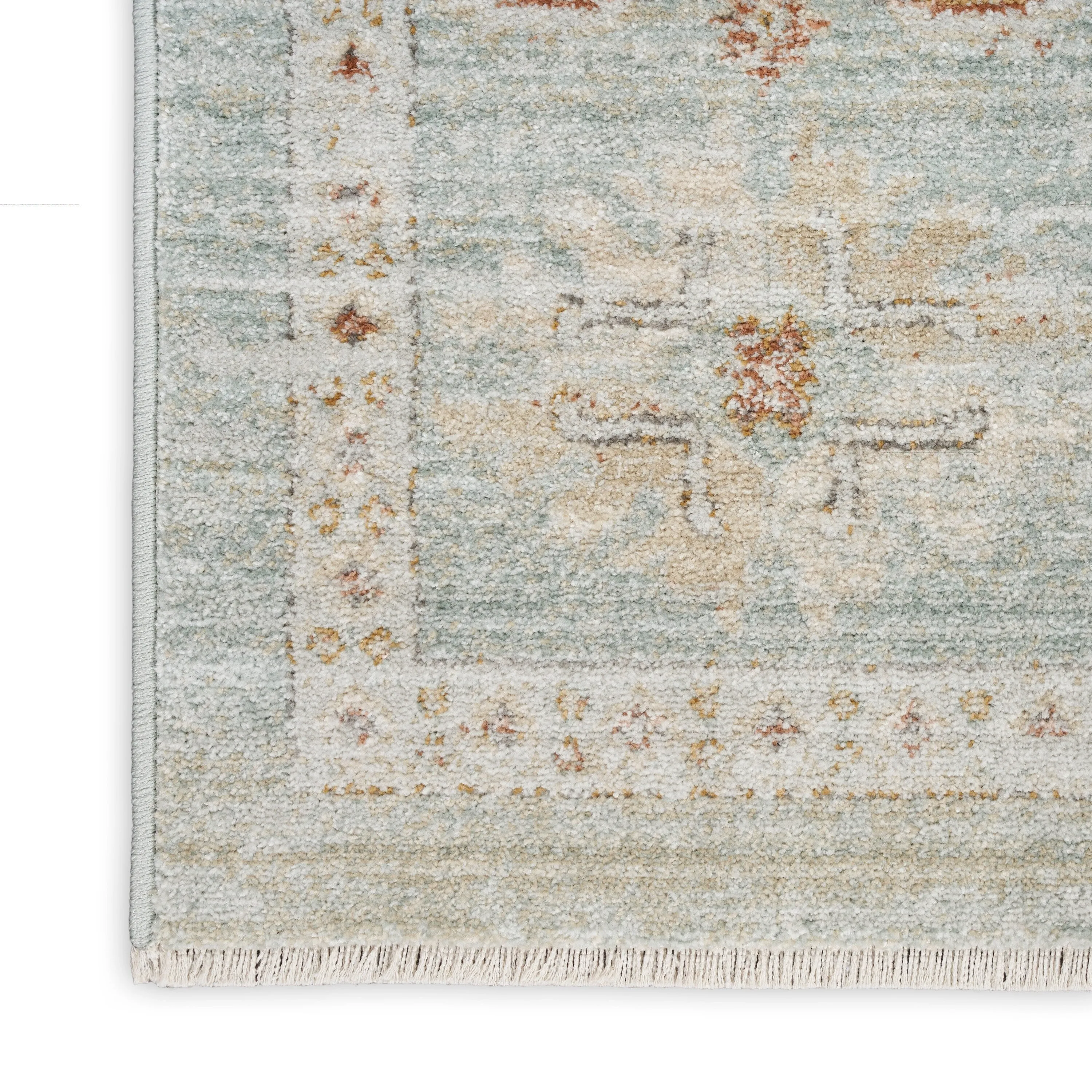 Nourison Traditional Home Indoor Persian Area Rug