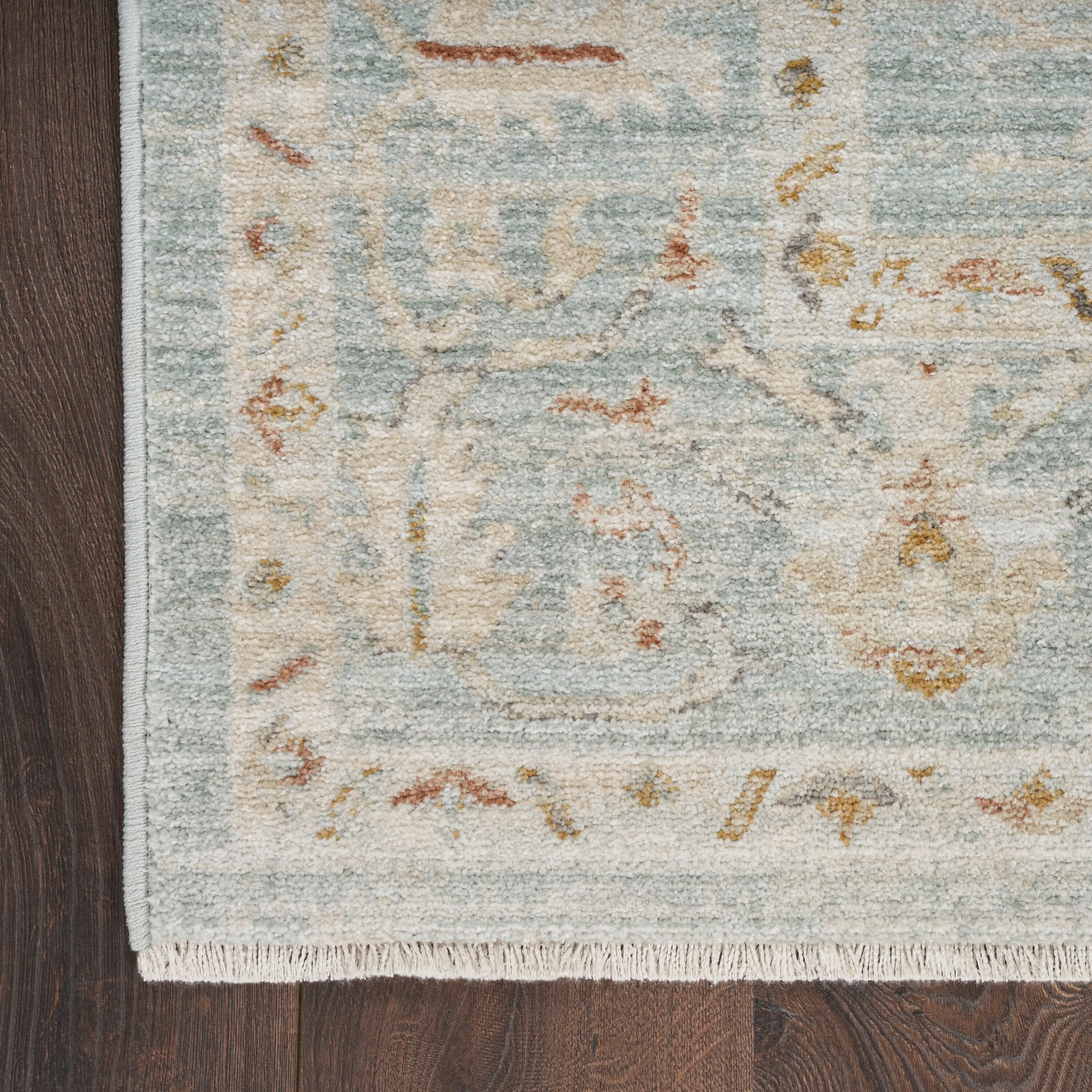 Nourison Traditional Home Indoor Persian Area Rug