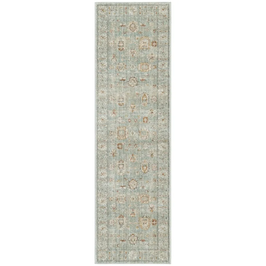 Nourison Traditional Home Indoor Persian Area Rug