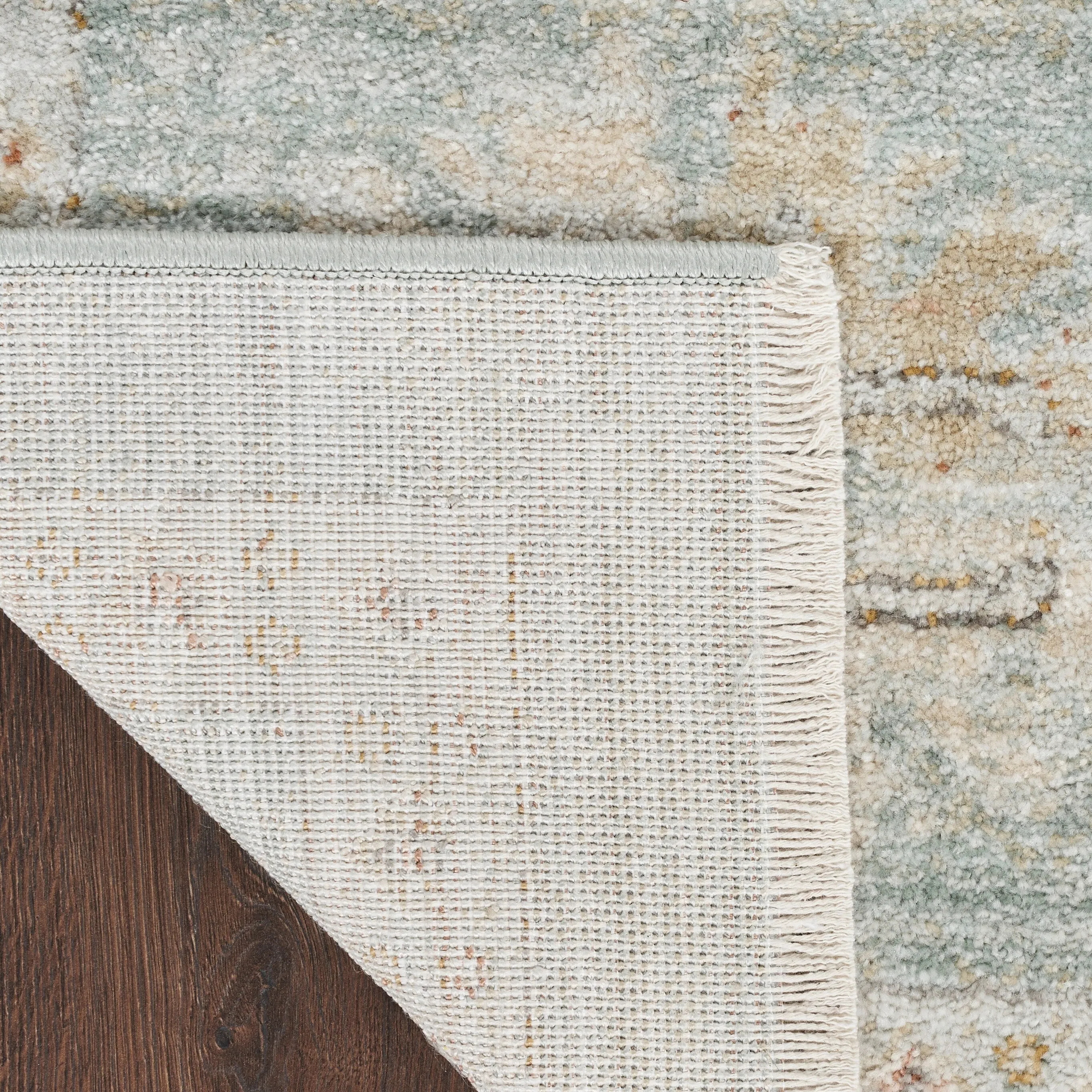 Nourison Traditional Home Indoor Persian Area Rug