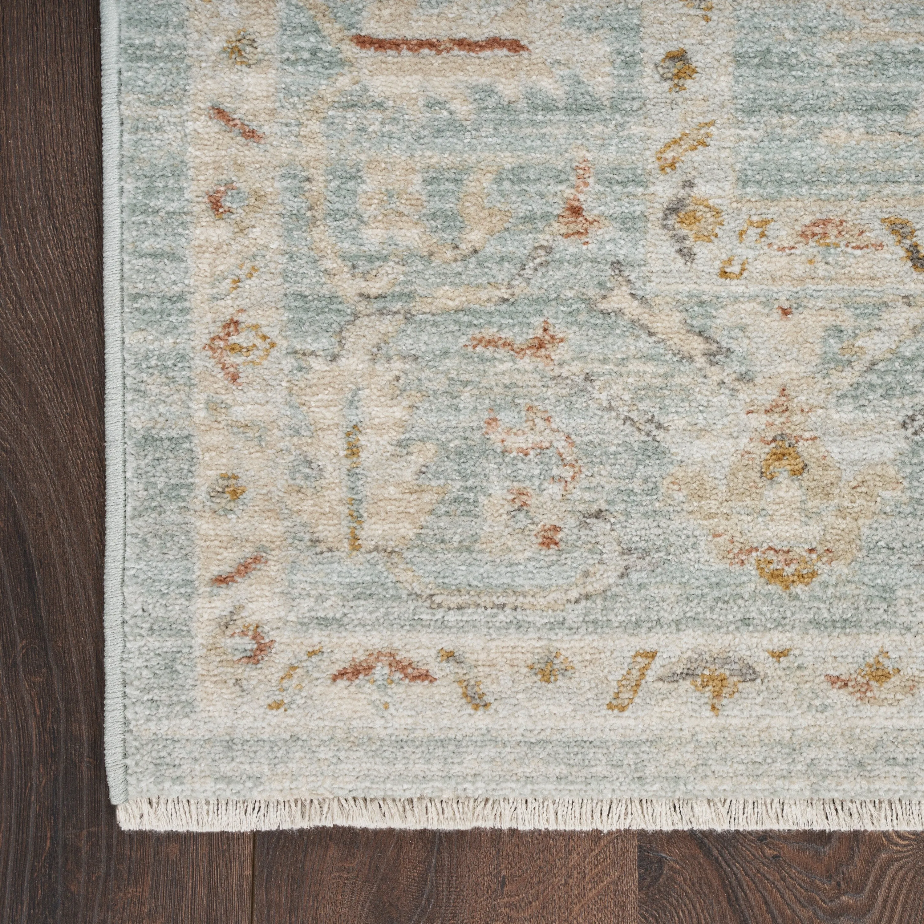 Nourison Traditional Home Indoor Persian Area Rug