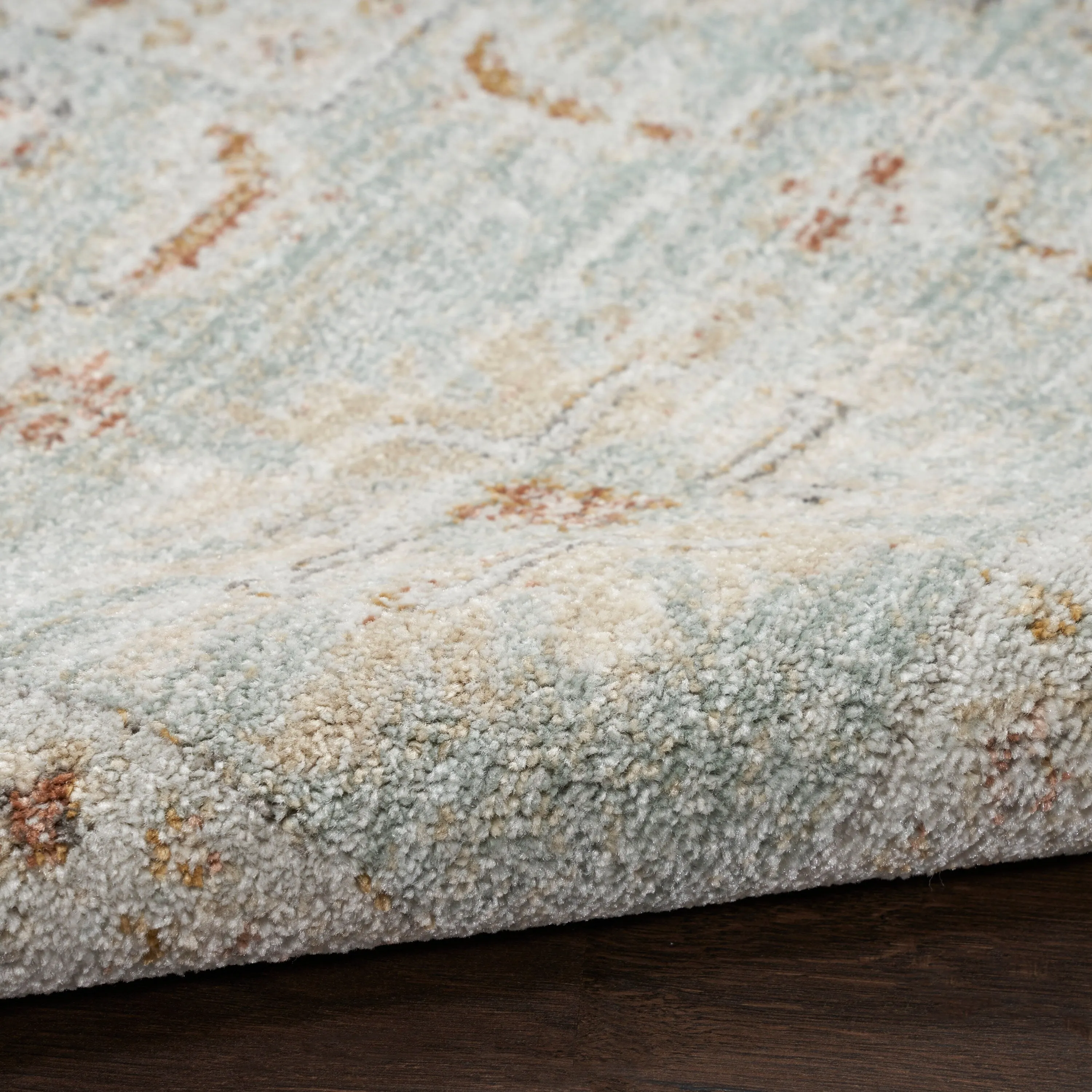 Nourison Traditional Home Indoor Persian Area Rug