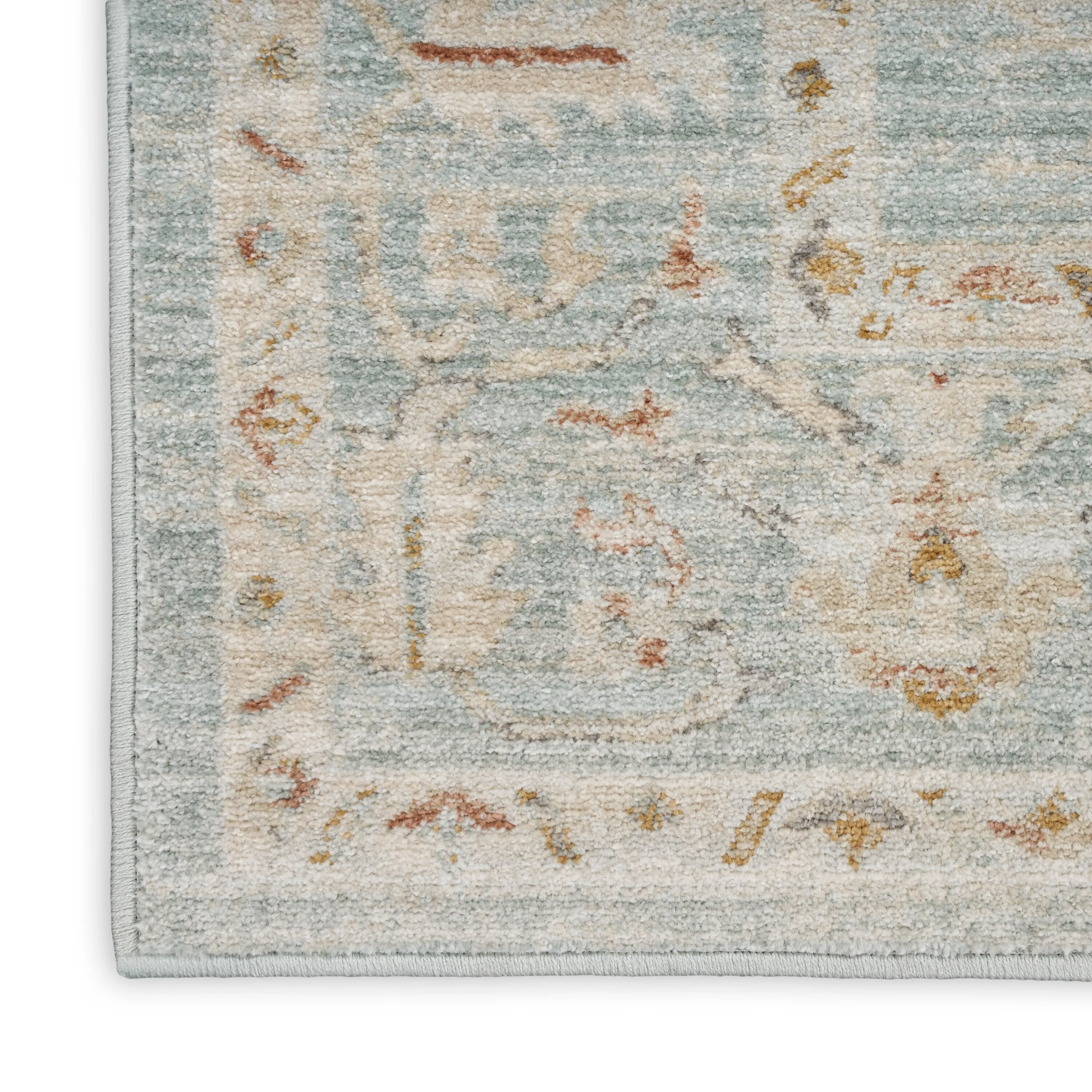 Nourison Traditional Home Indoor Persian Area Rug