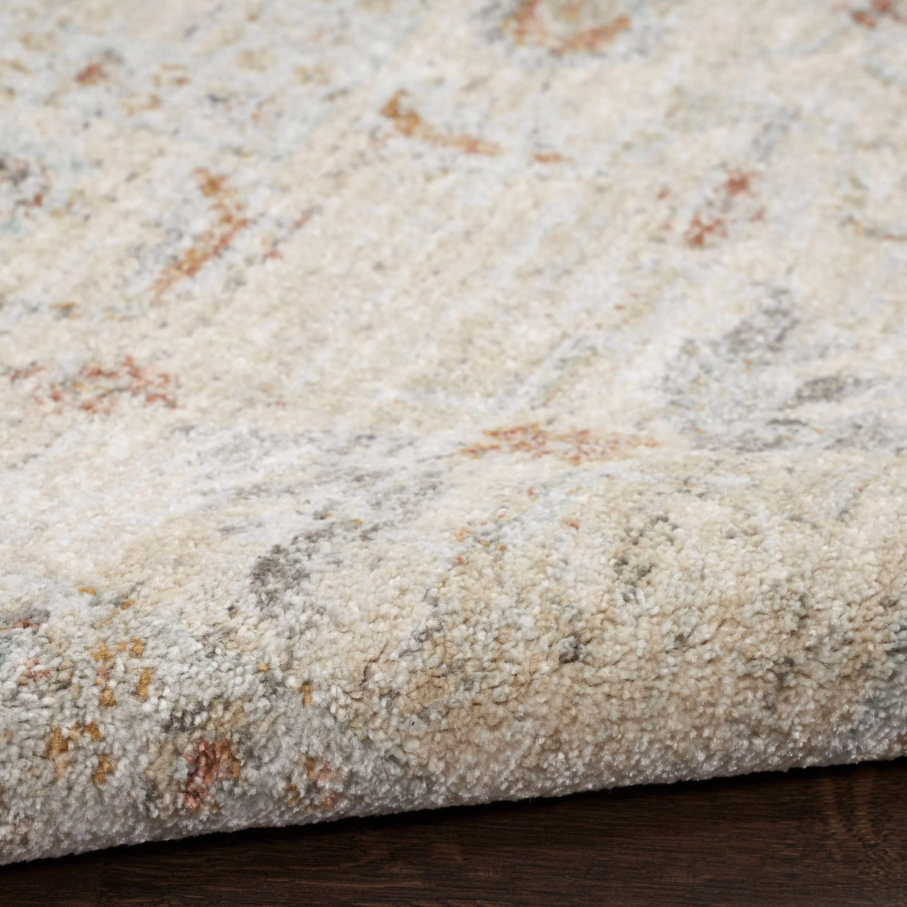Nourison Traditional Home Indoor Persian Area Rug
