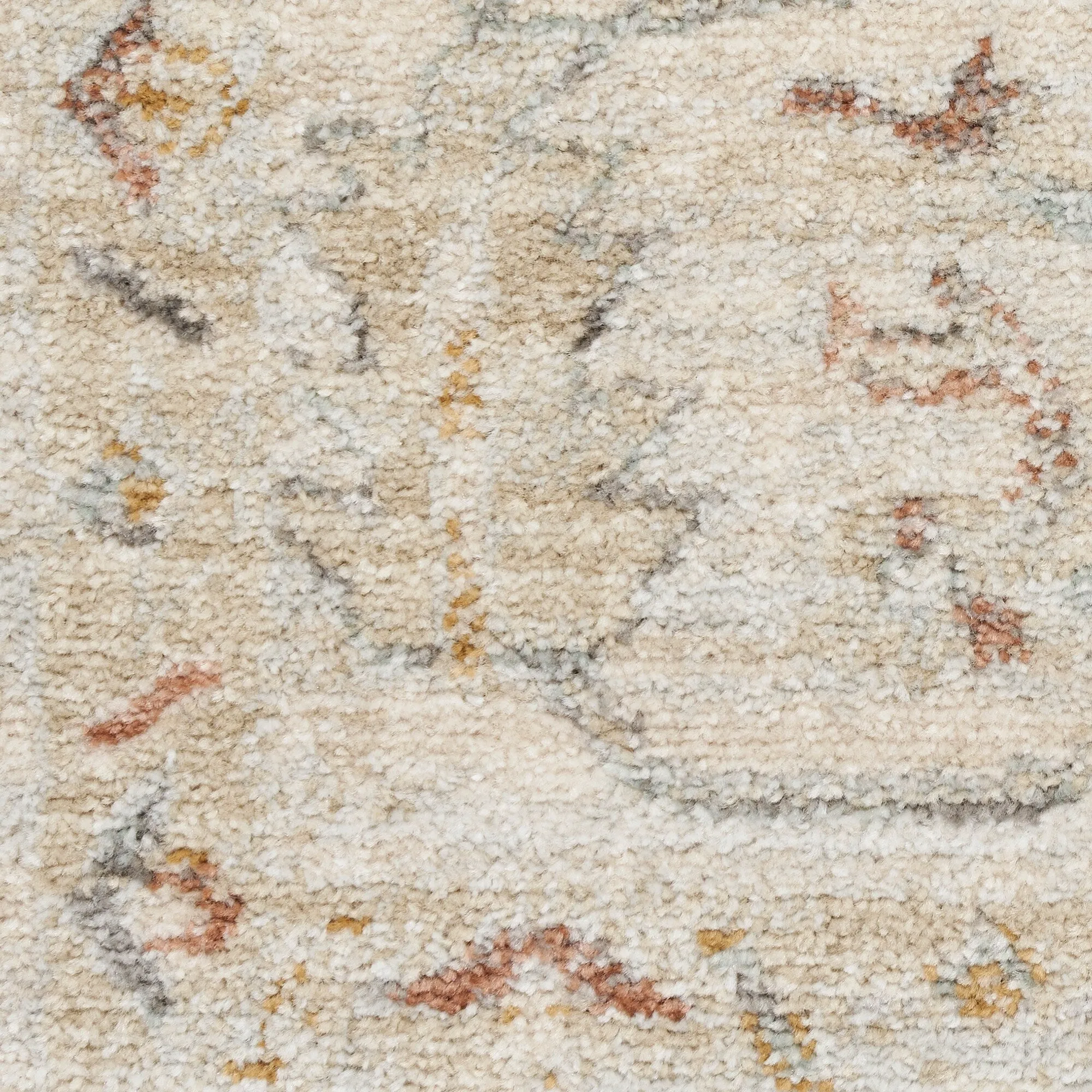 Nourison Traditional Home Indoor Persian Area Rug